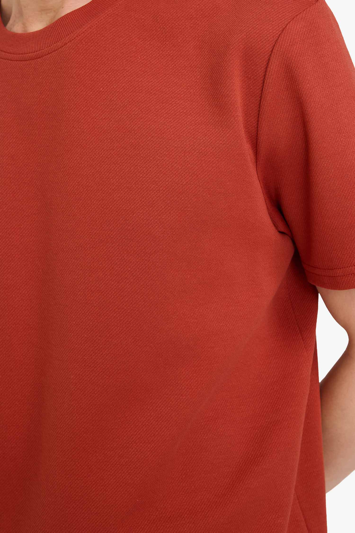 DeFacto Regular Fit Dokulu Basic Tişört görsel 4