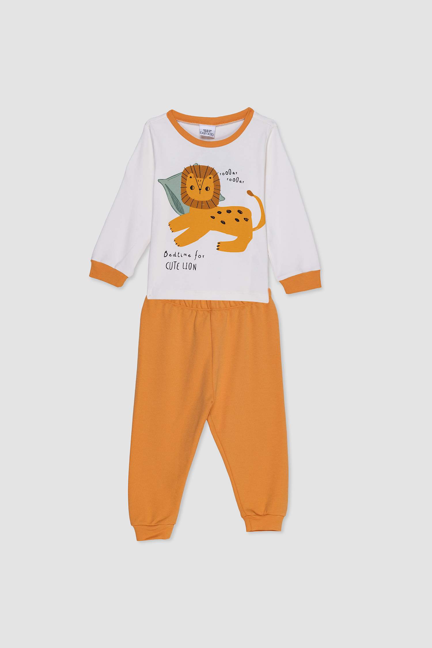 Baby Boy Lion Print 2 Piece Pajama Set