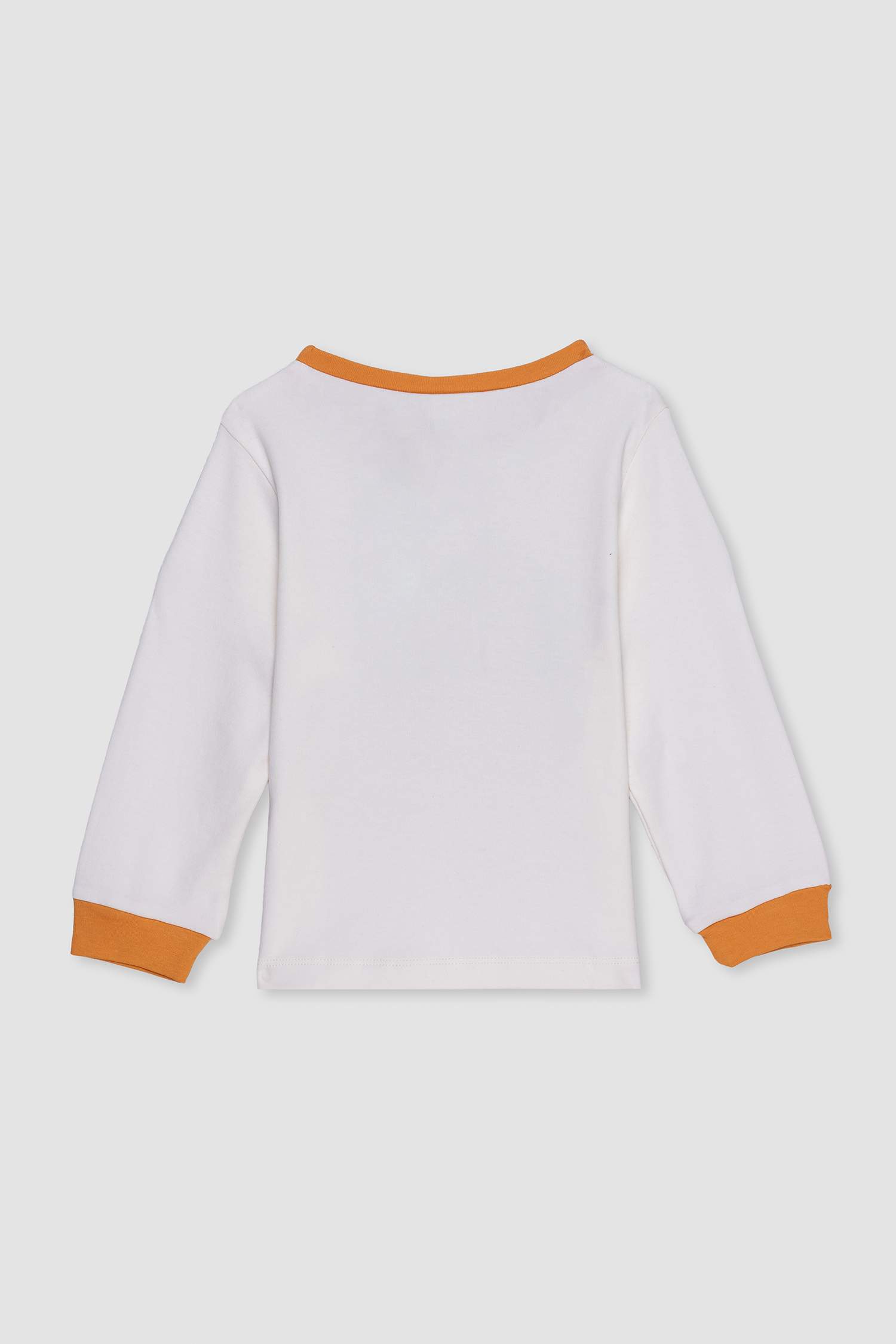 Baby Boy Lion Print 2 Piece Pajama Set