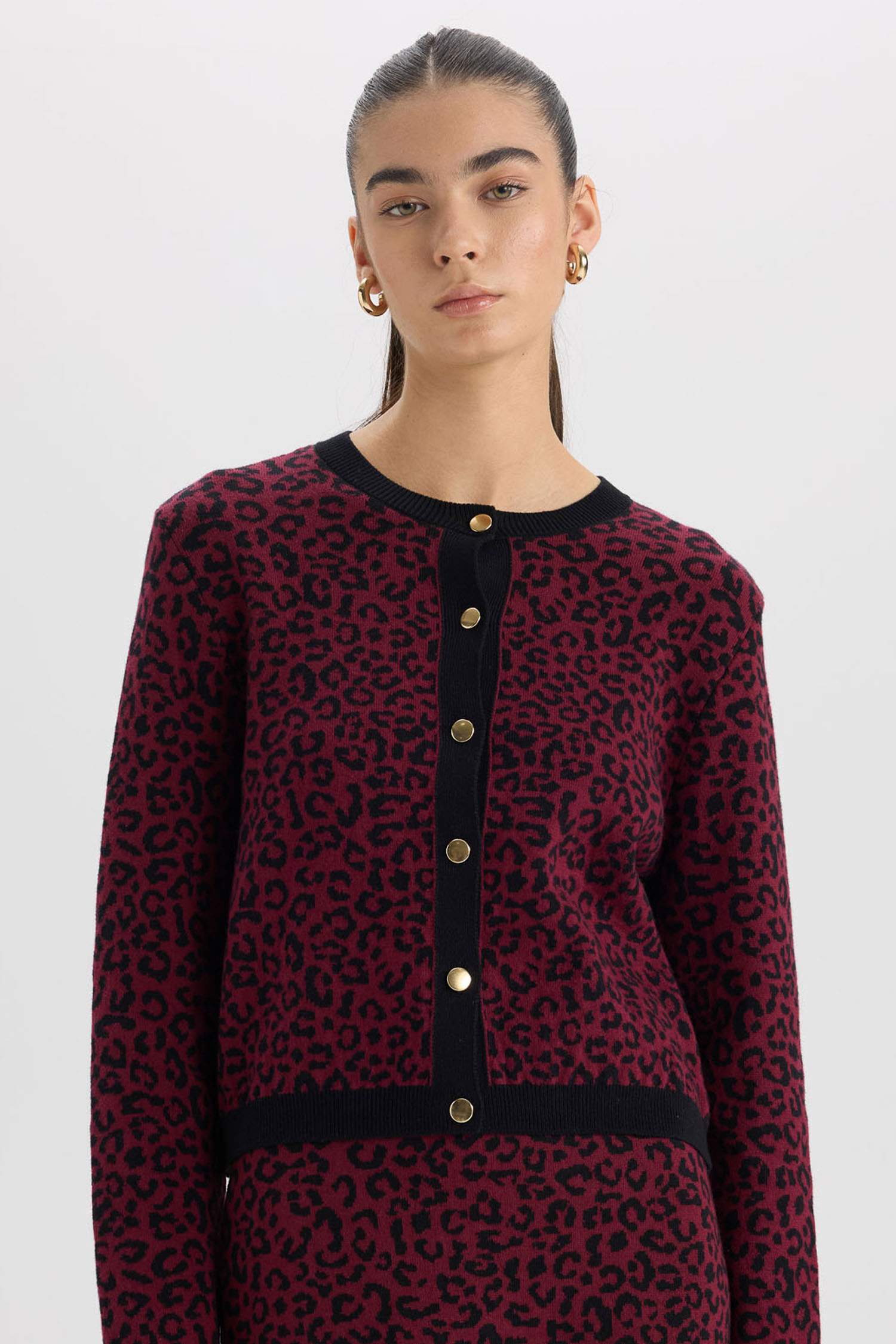 Regular Fit Bisiklet Yaka Leopar Desenli Düğmeli Triko Hırka