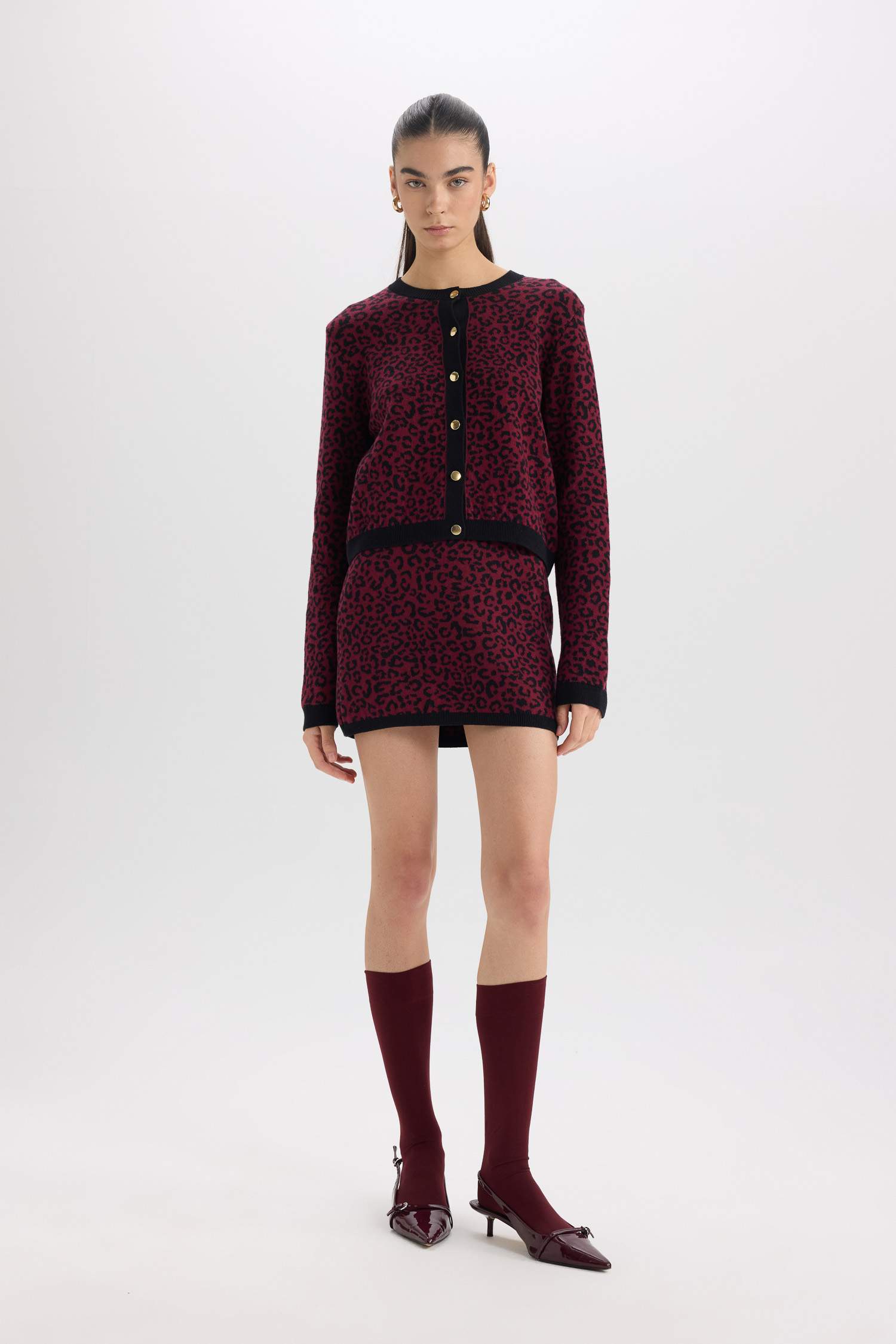 Regular Fit Bisiklet Yaka Leopar Desenli Düğmeli Triko Hırka