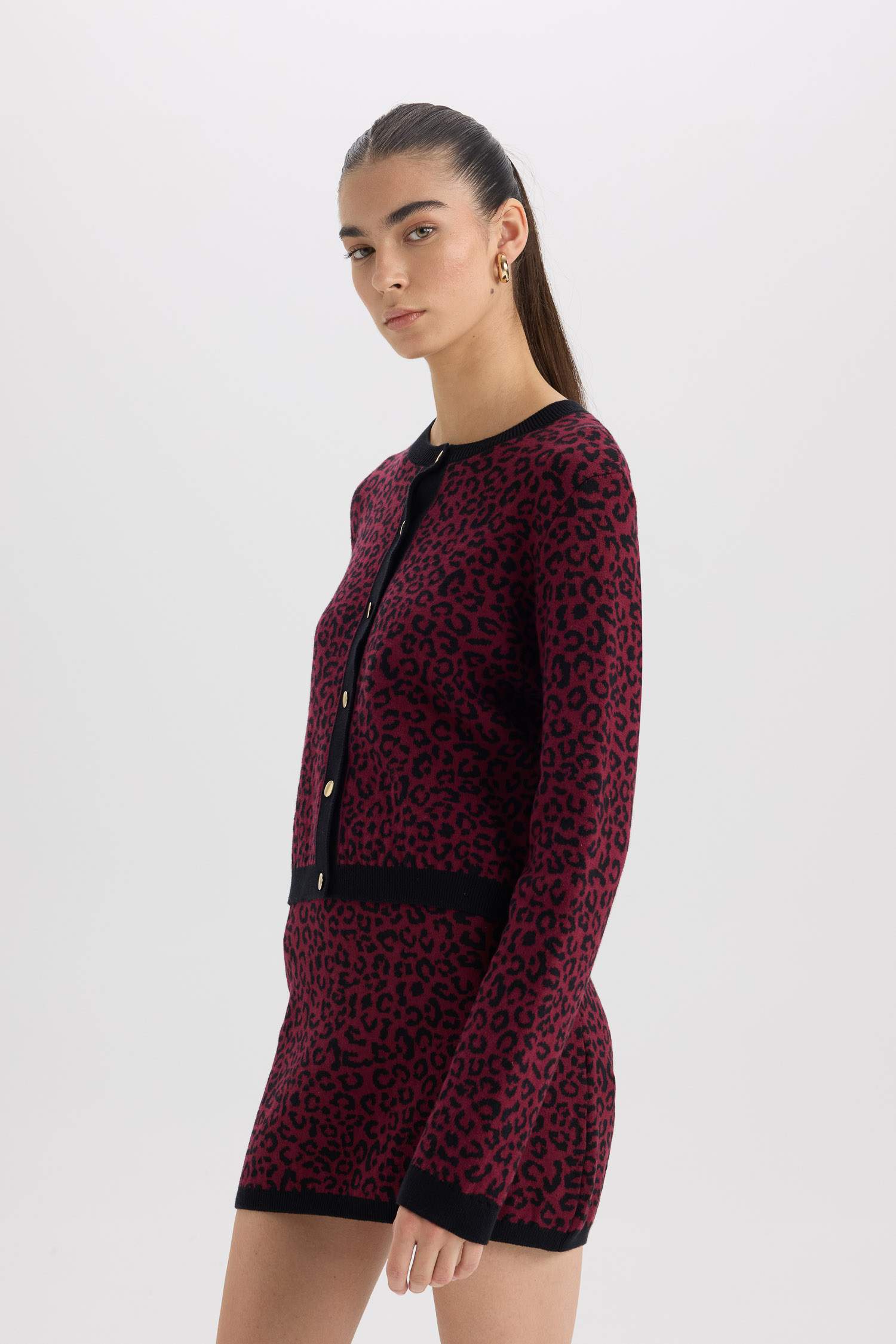 Regular Fit Bisiklet Yaka Leopar Desenli Düğmeli Triko Hırka
