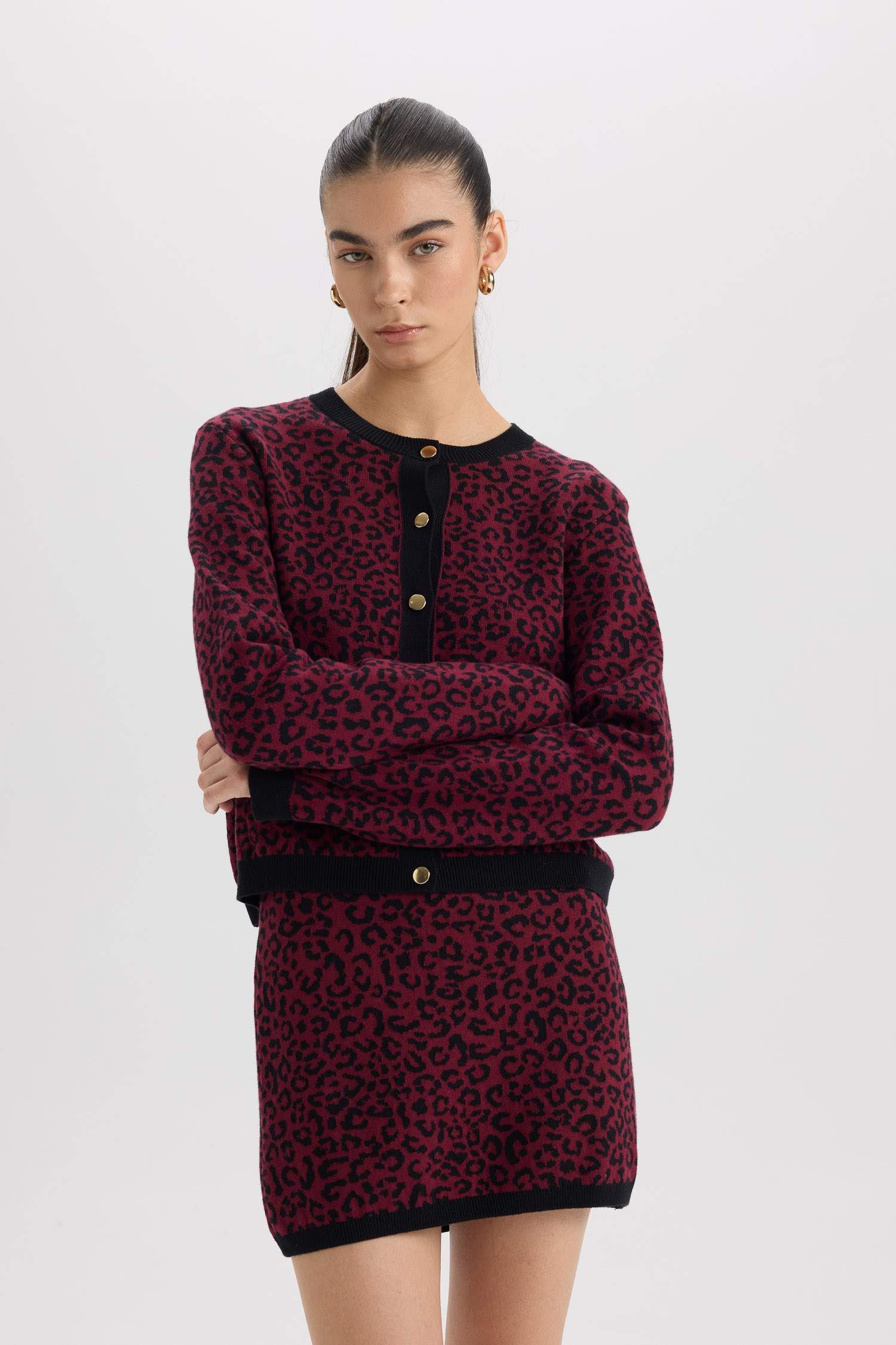 Regular Fit Bisiklet Yaka Leopar Desenli Düğmeli Triko Hırka