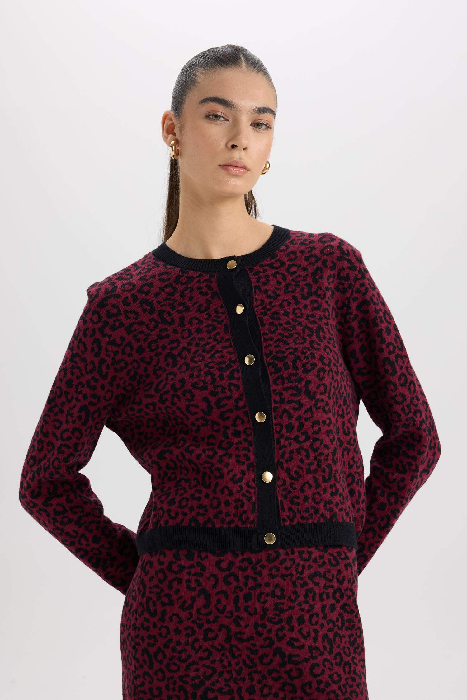 Regular Fit Bisiklet Yaka Leopar Desenli Düğmeli Triko Hırka