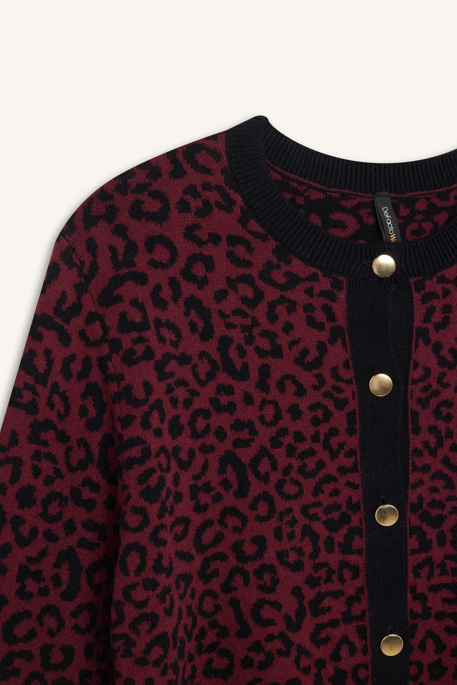 Regular Fit Bisiklet Yaka Leopar Desenli Düğmeli Triko Hırka