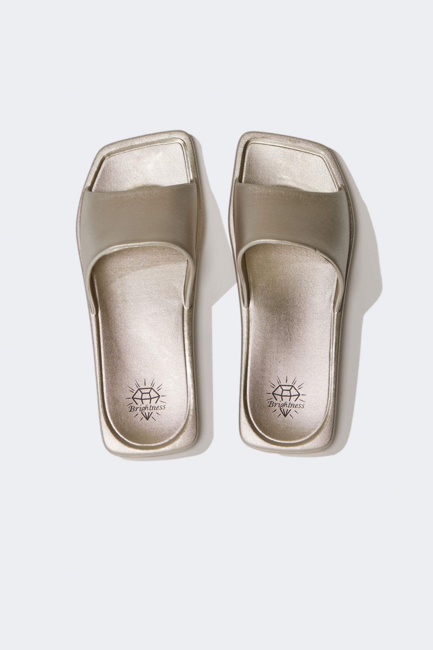 Woman Flat Sole Eva Slippers