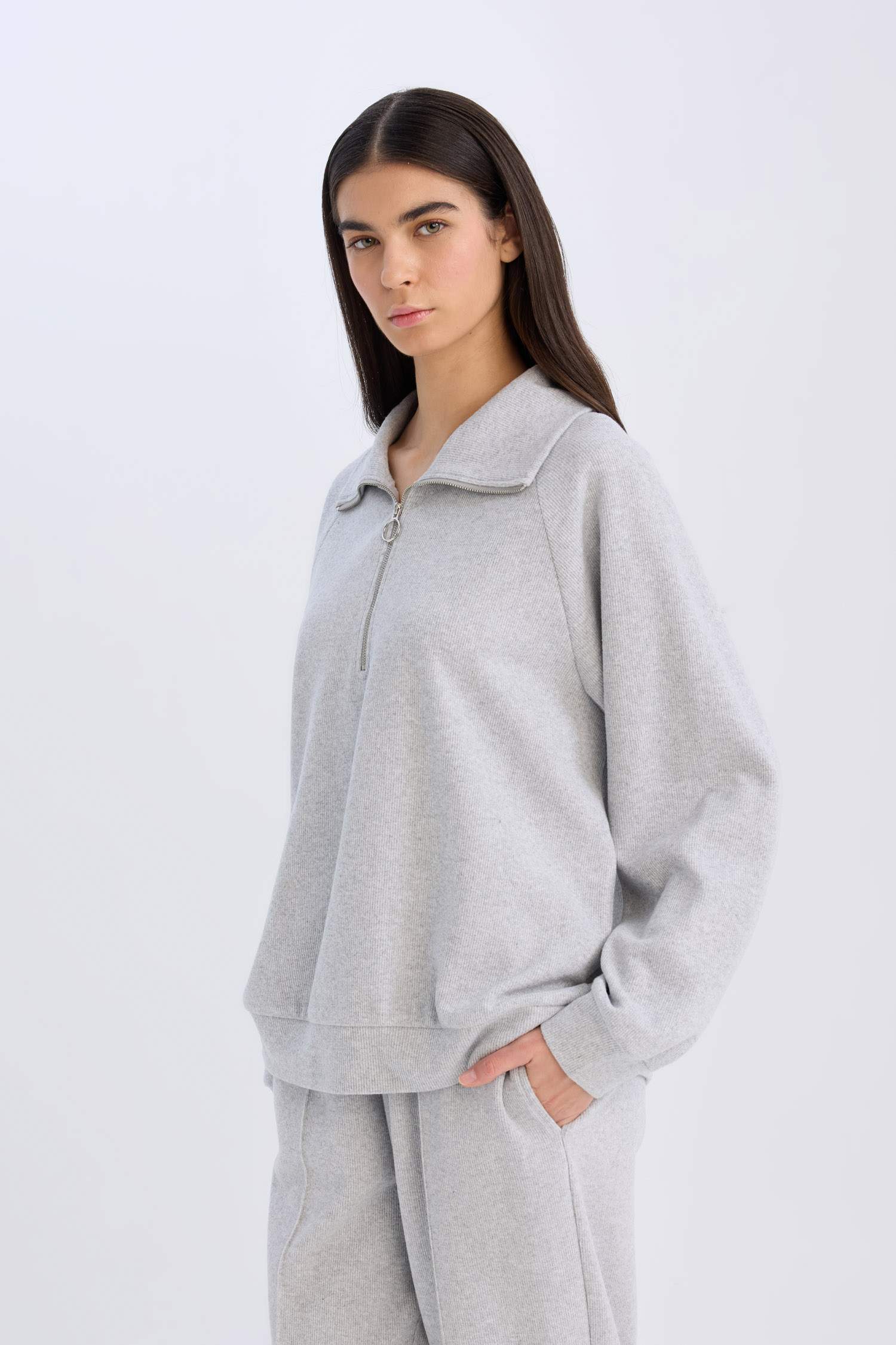Regular Fit Yarım Fermuarlı Dik Yaka Basic Düz Sweatshirt