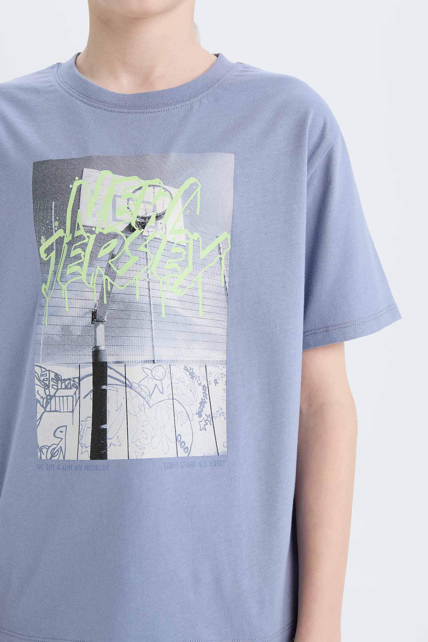 Boy Regular Fit Crew Neck Printed T-Shirt