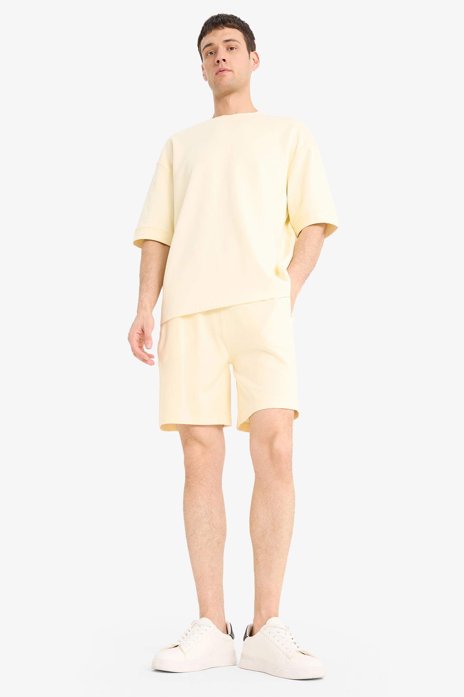 Regular Fit Regular Hem Shorts