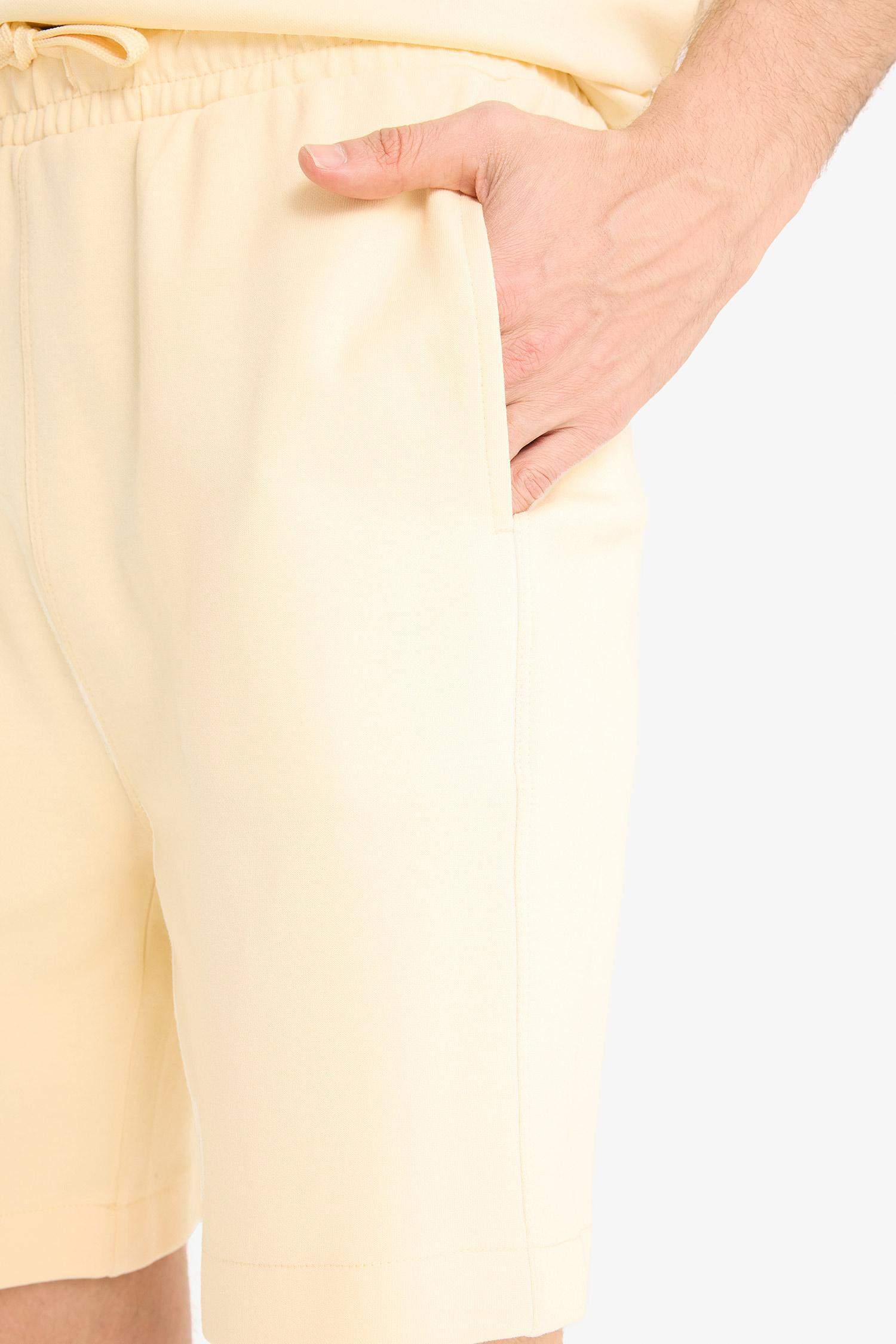 Regular Fit Regular Hem Shorts