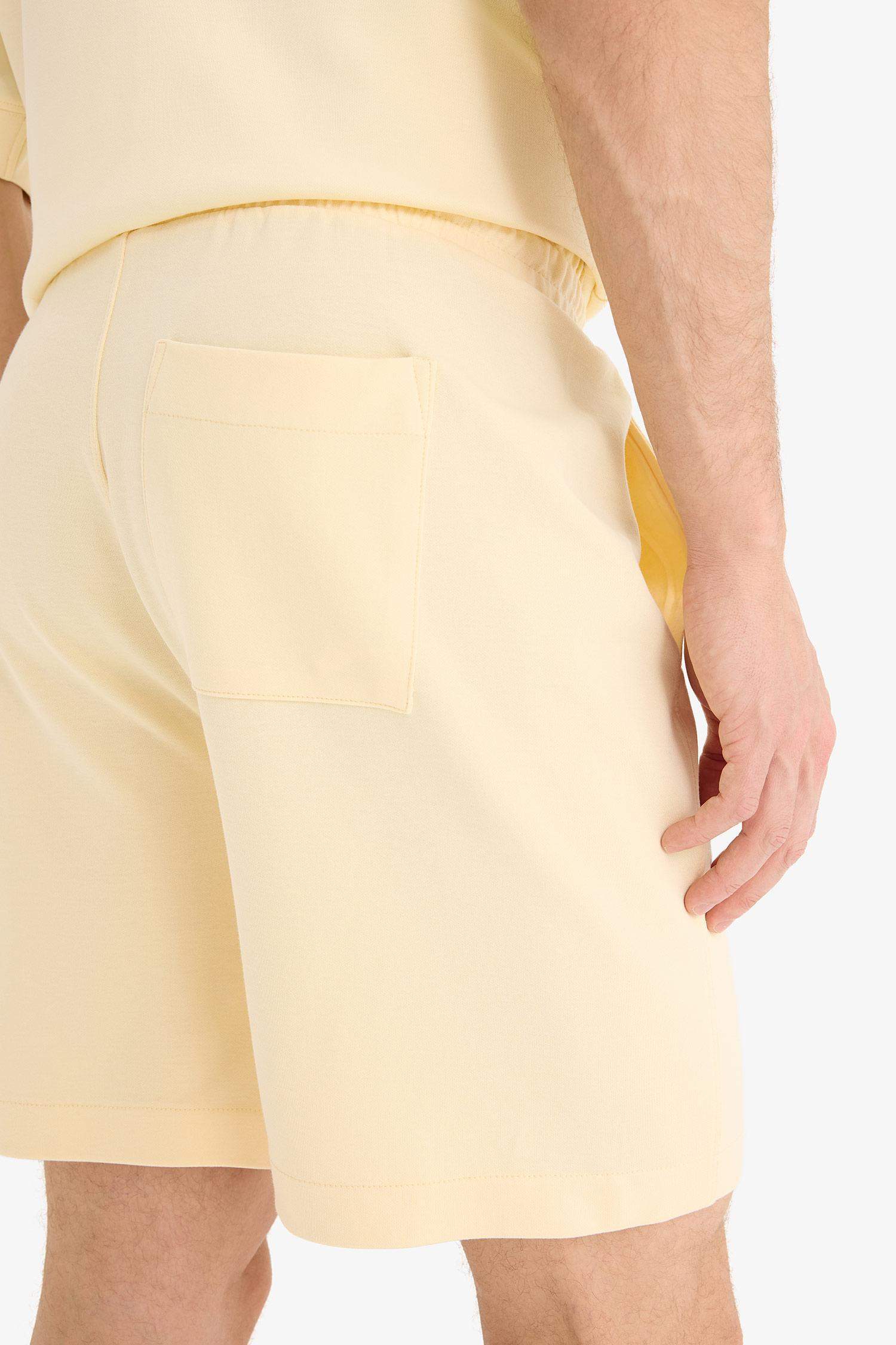 Regular Fit Regular Hem Shorts