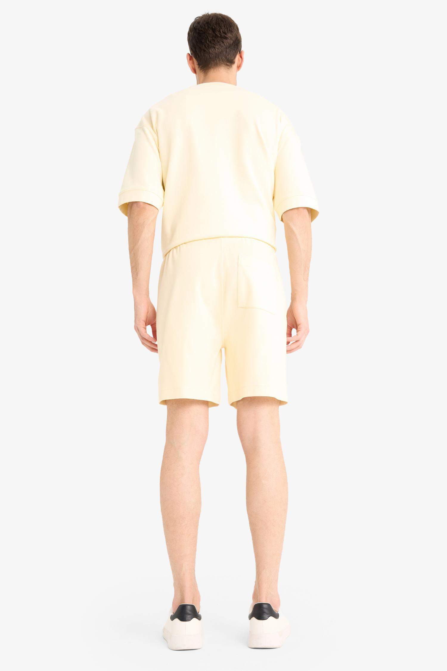 Regular Fit Regular Hem Shorts