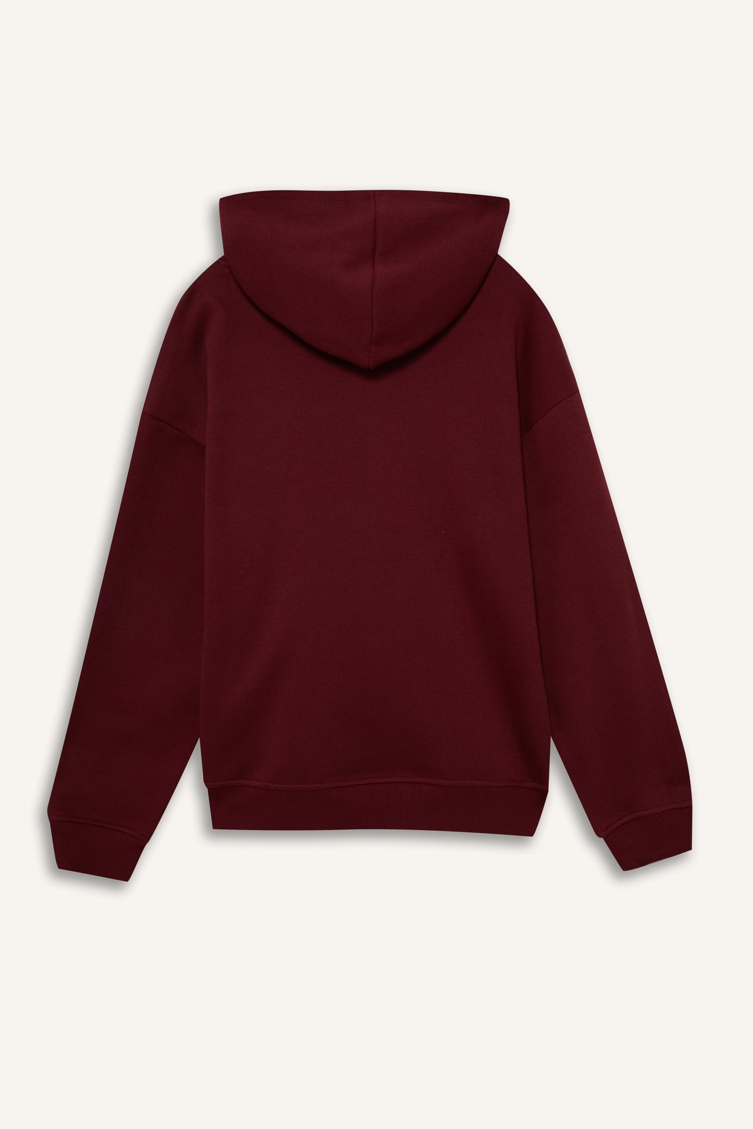 DeFacto Relax Fit Kapüşonlu Basıc Kalın Sweatshirt görsel 6