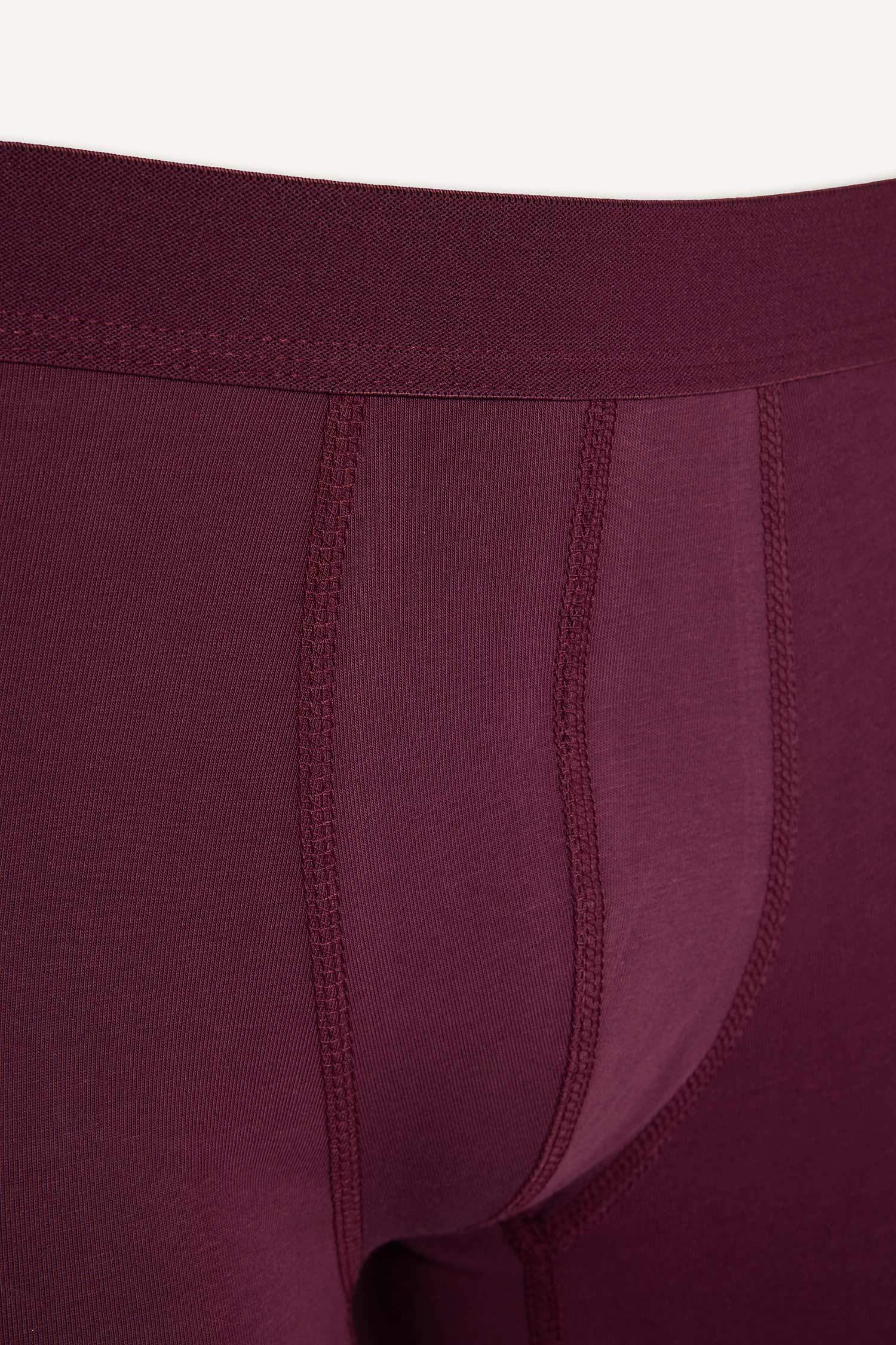 Regular Fit 3'lü Boxer