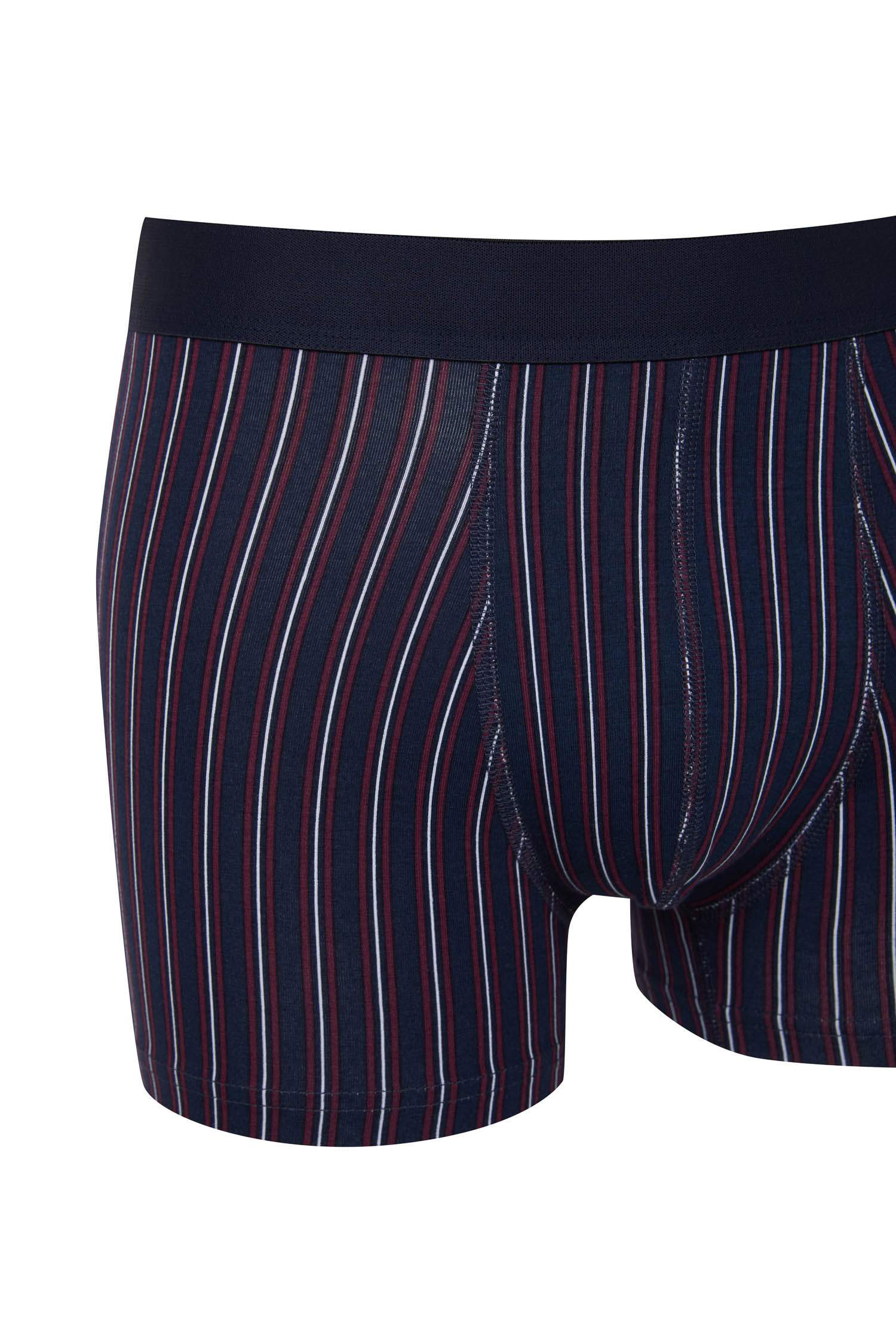 بوكسر مخطط قصة عادية - 3 قطع