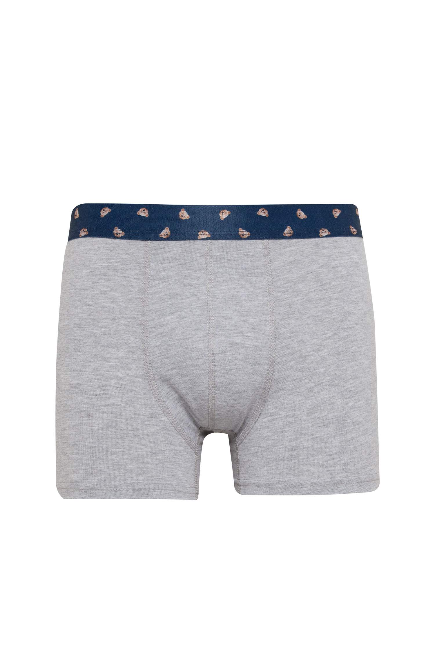 Regular Fit Hayvan Baskılı 3'lü Boxer