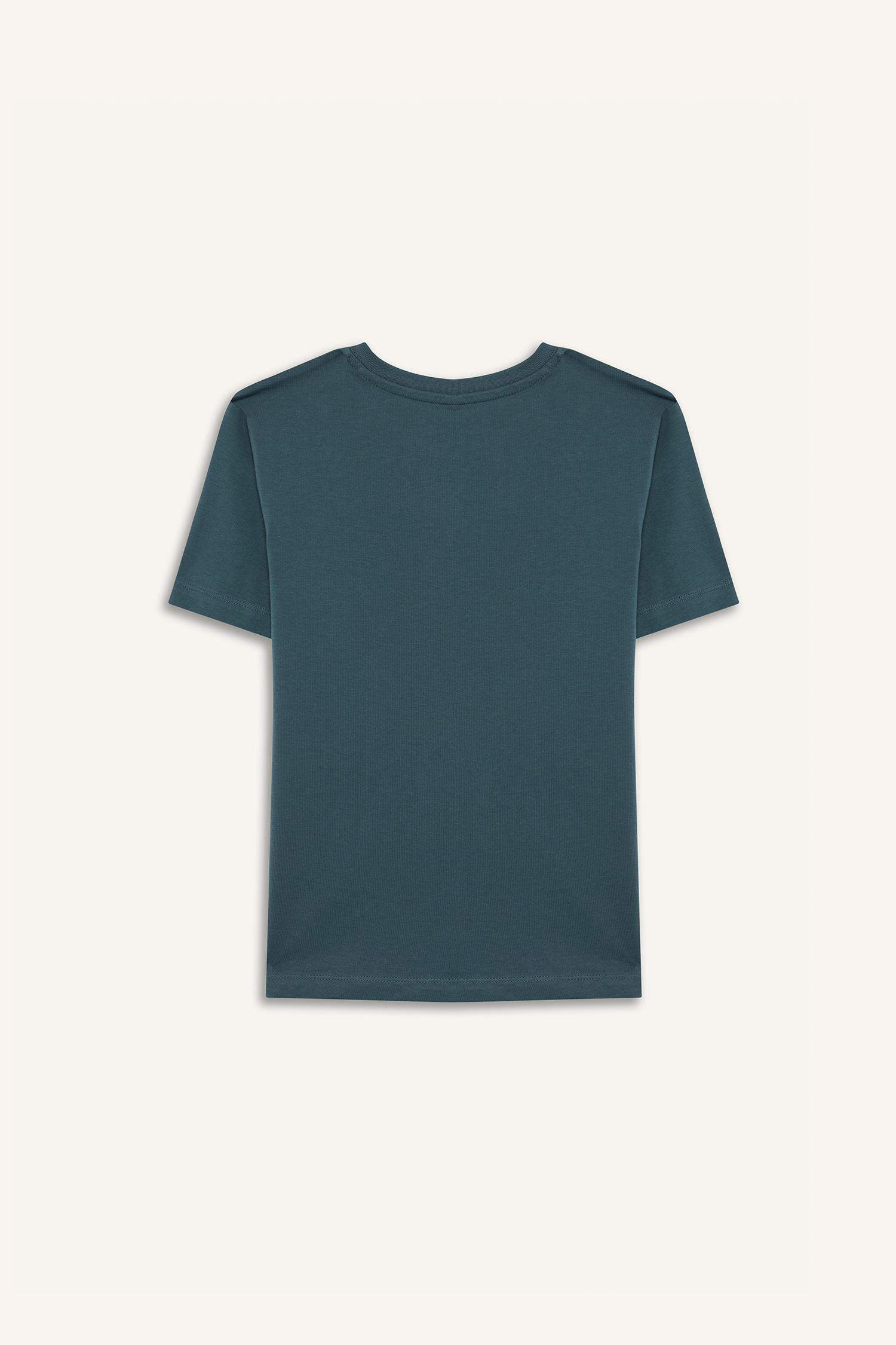 Boy Crew Neck Printed Short Sleeve T-Shirt