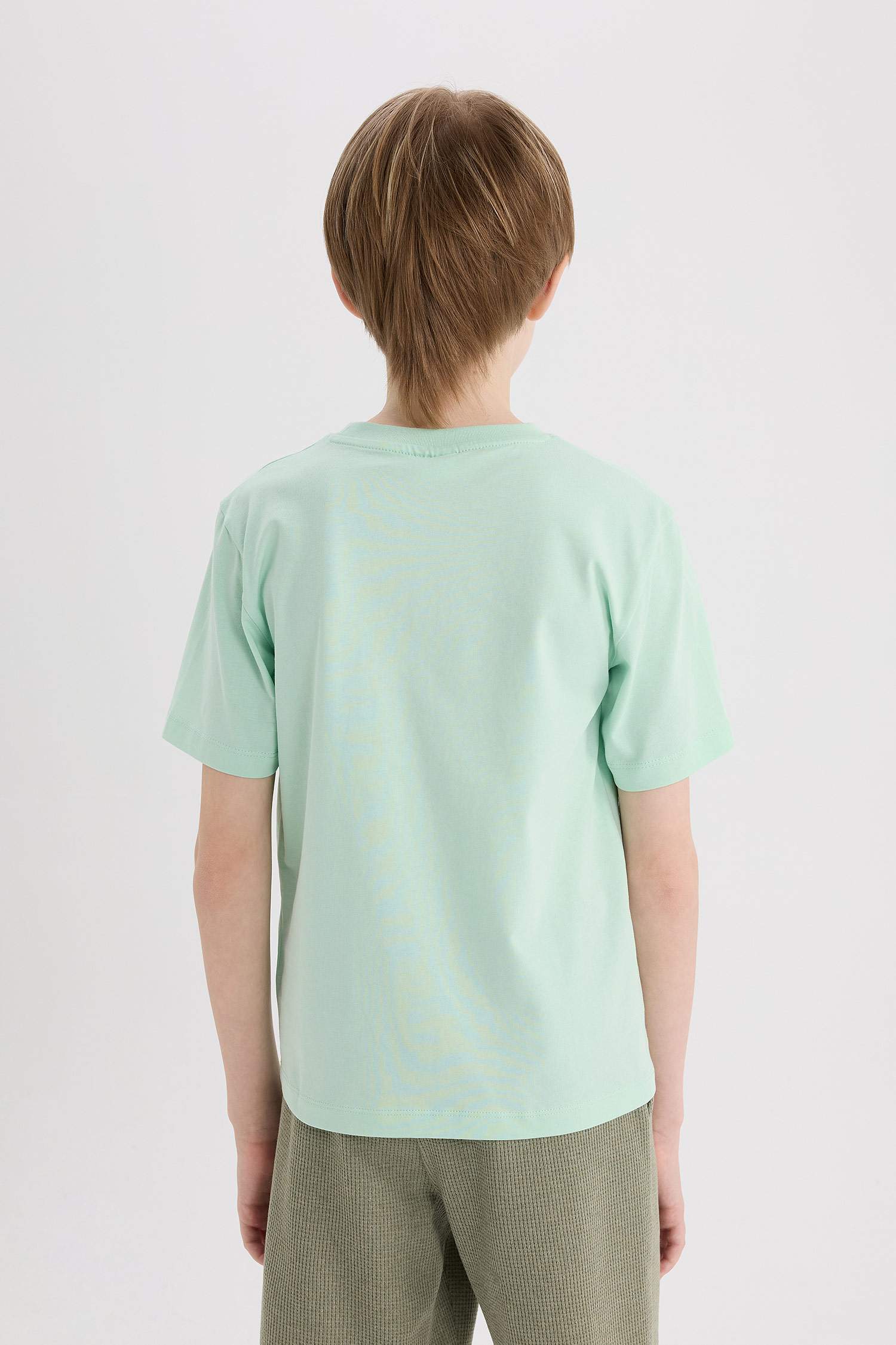 Boy Regular Fit Crew Neck Printed Short Sleeve T-Shirt