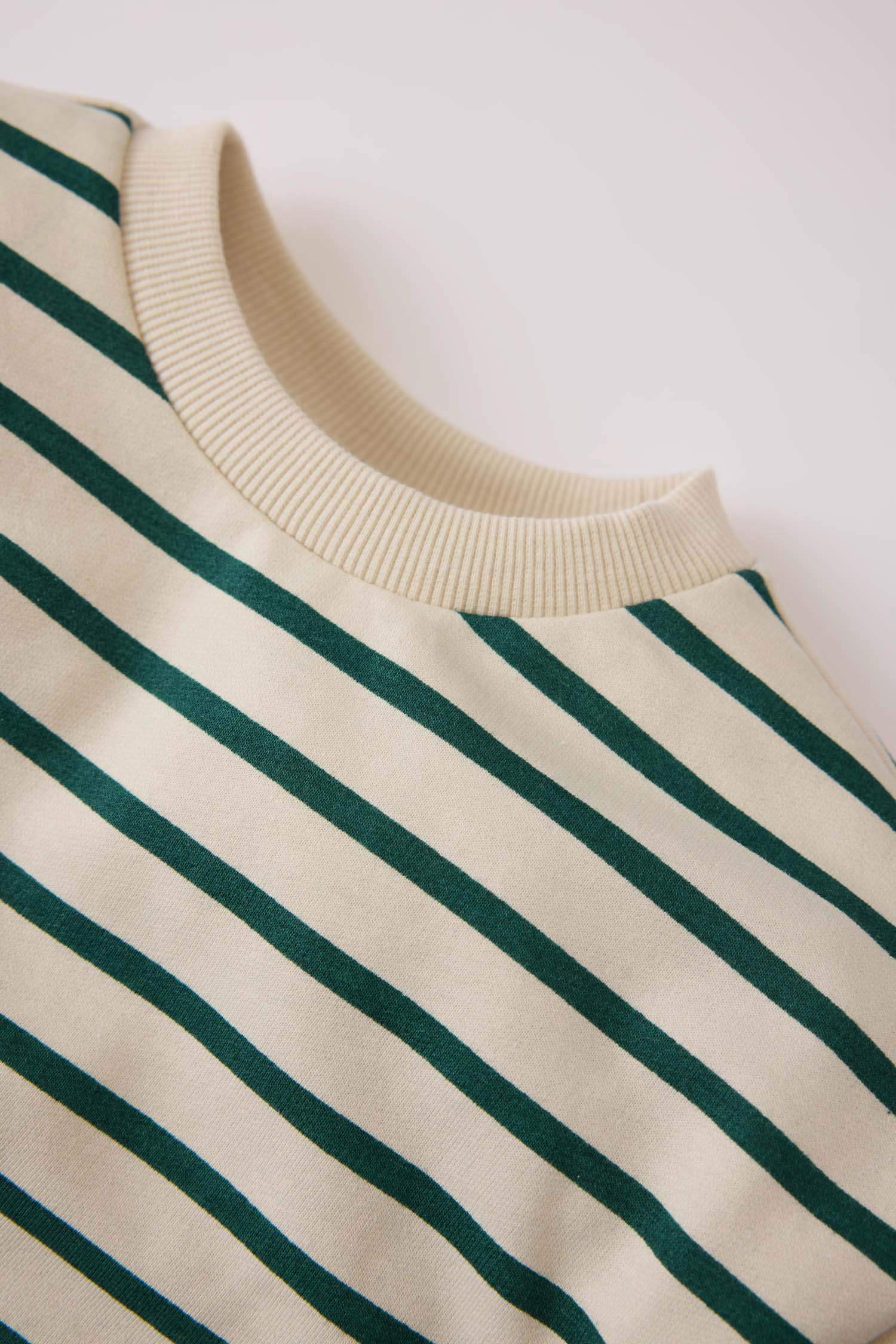 Baby Boy Crew Neck Striped Sweatshirt