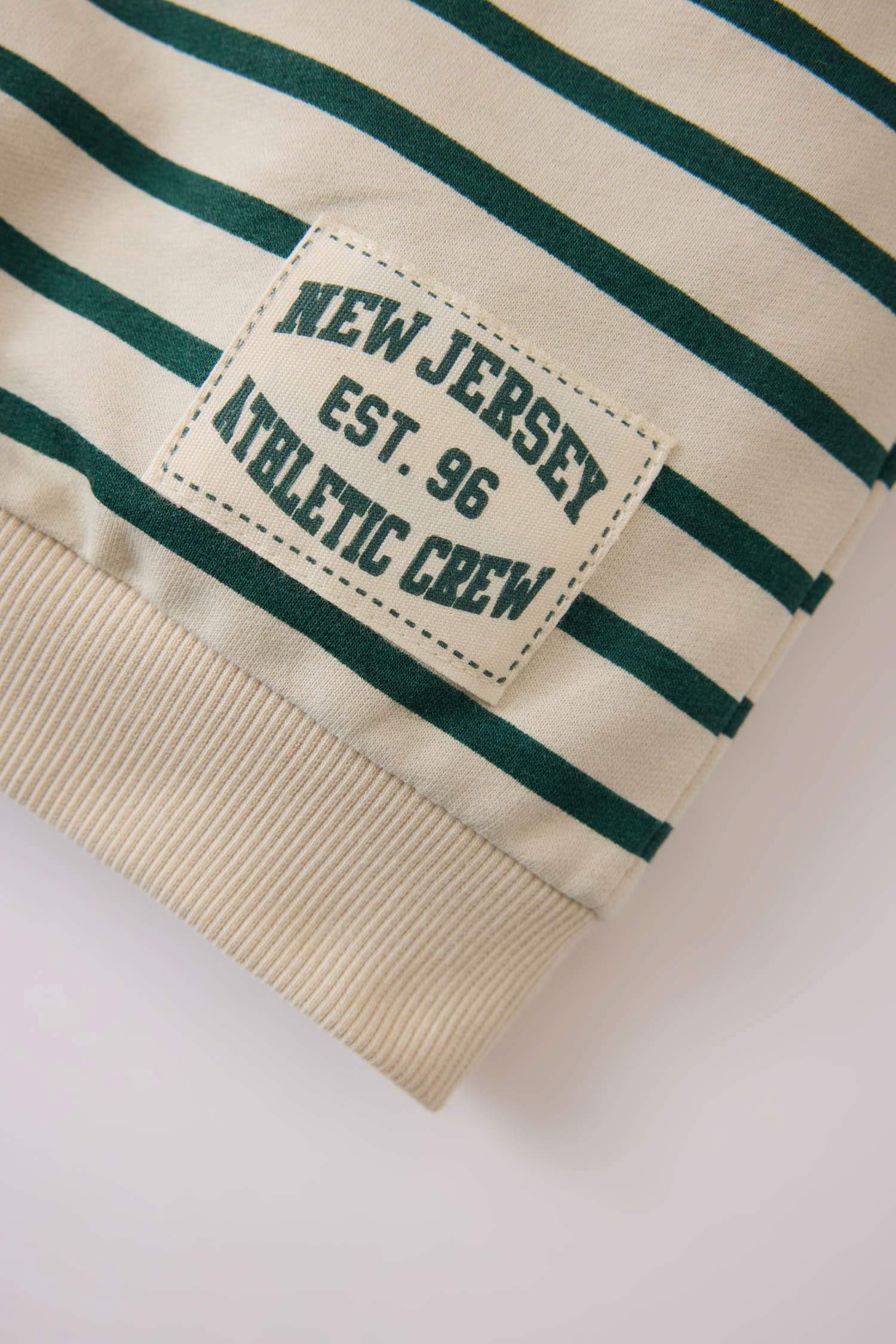 Baby Boy Crew Neck Striped Sweatshirt