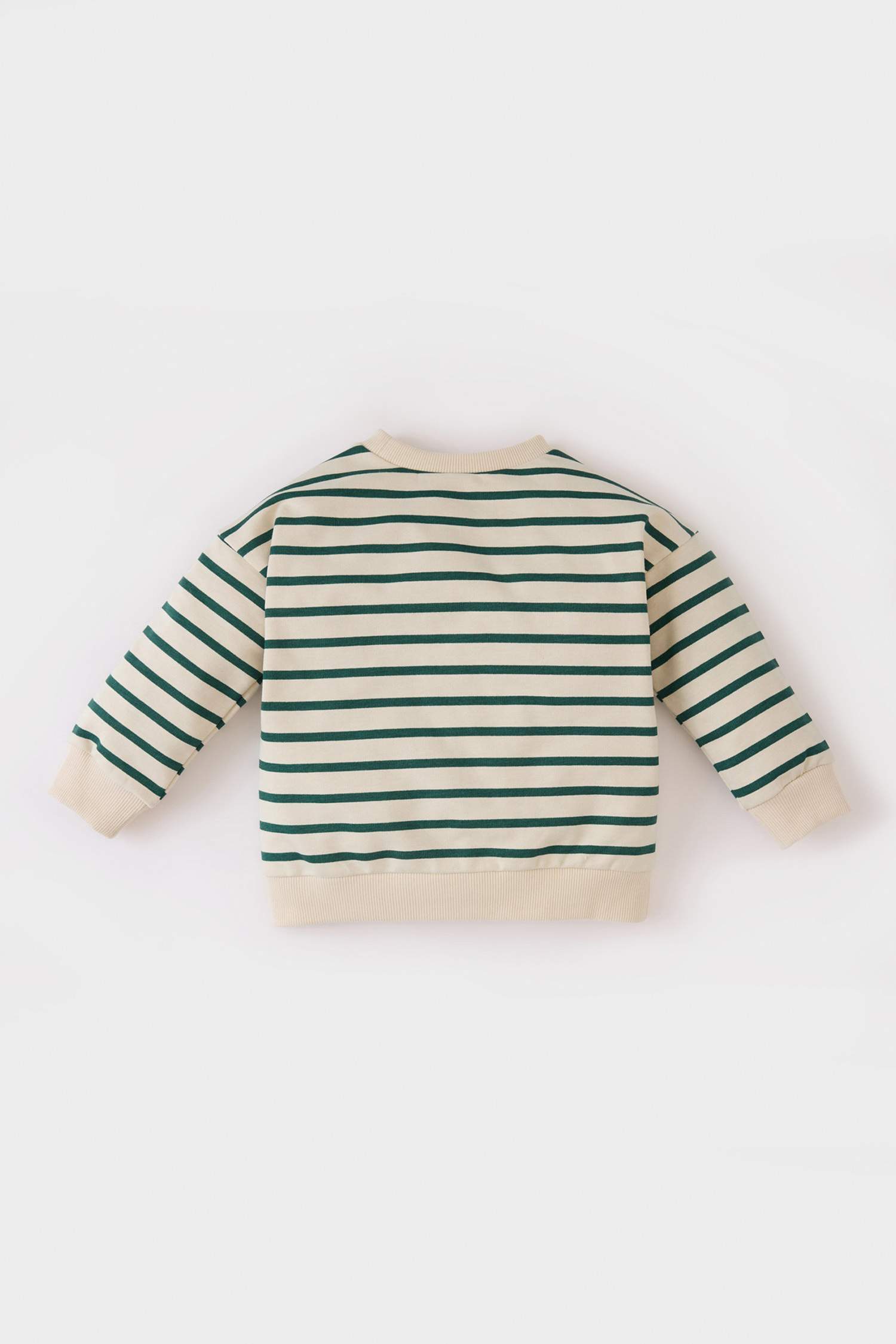 Baby Boy Crew Neck Striped Sweatshirt