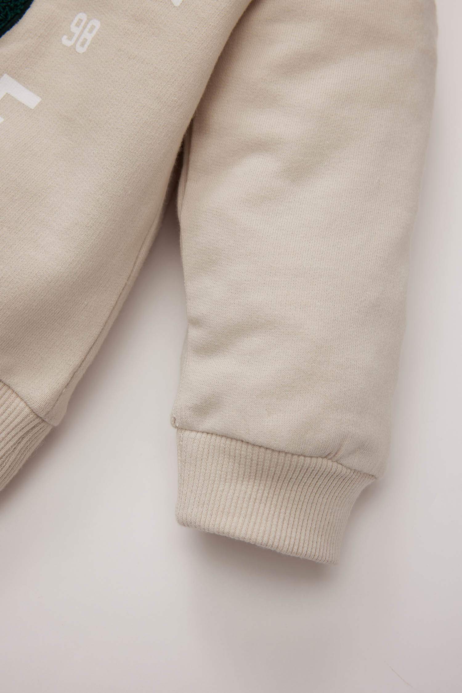 Boy Baby Crew Neck Printed Sweatshirt