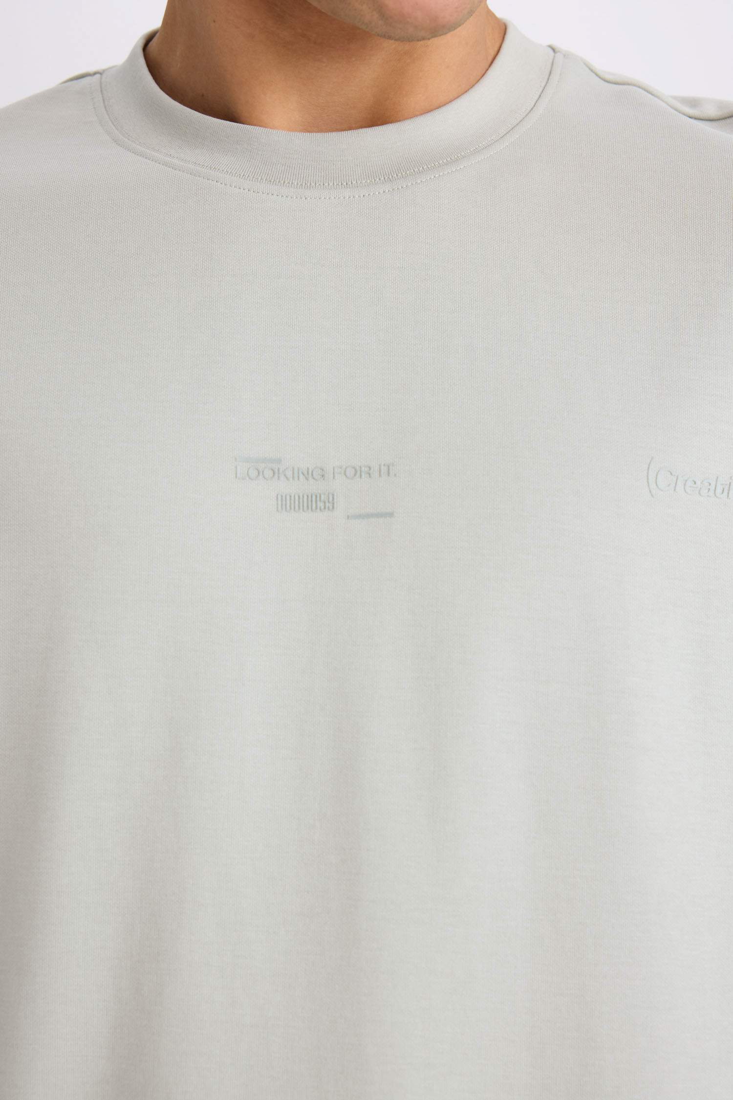 Loose fit футболка с круглым вырезом, с принтом, из плотной ткани и короткими рукавами