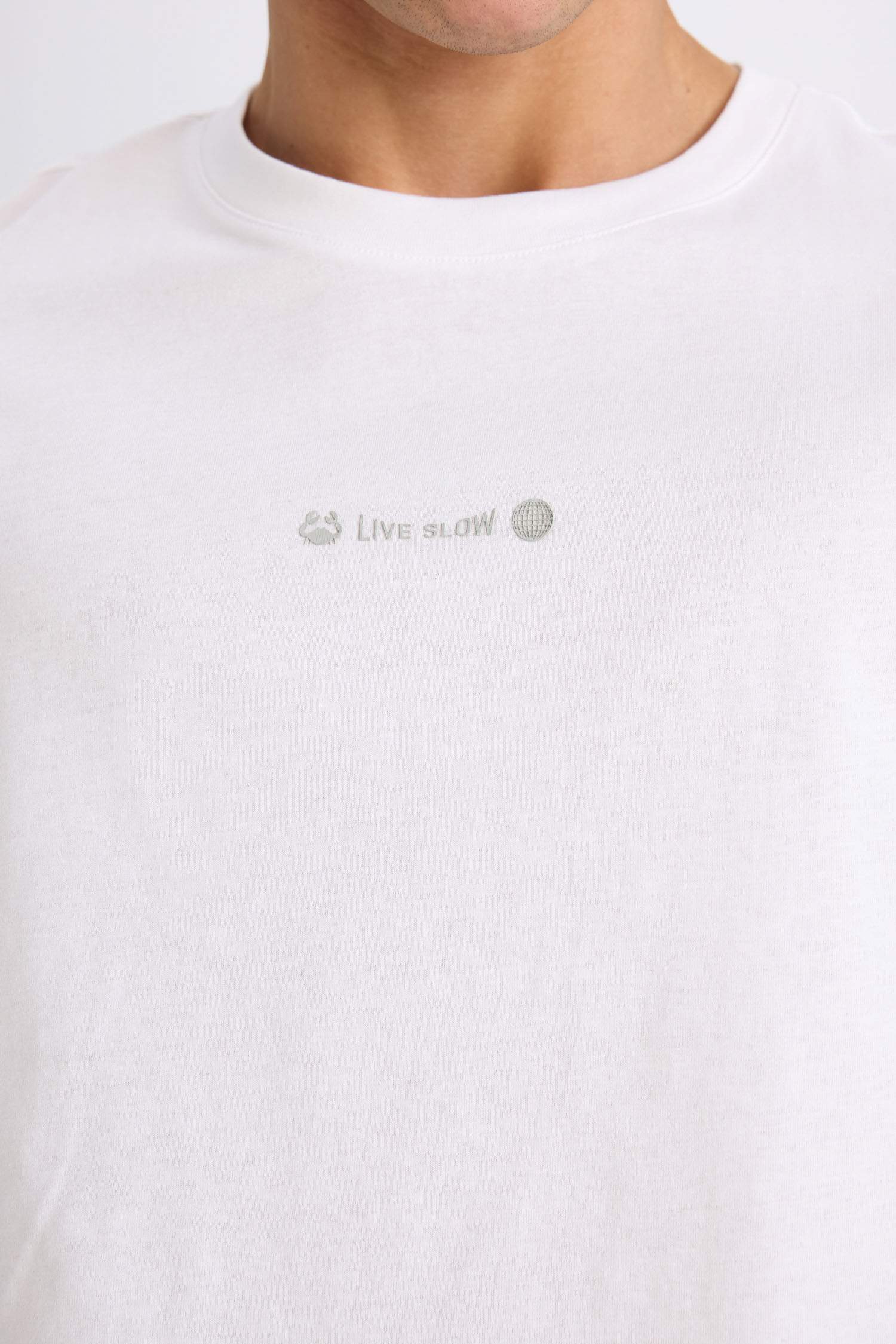 Regular Fit Crew Neck Printed Heavy Fabric T-Shirt