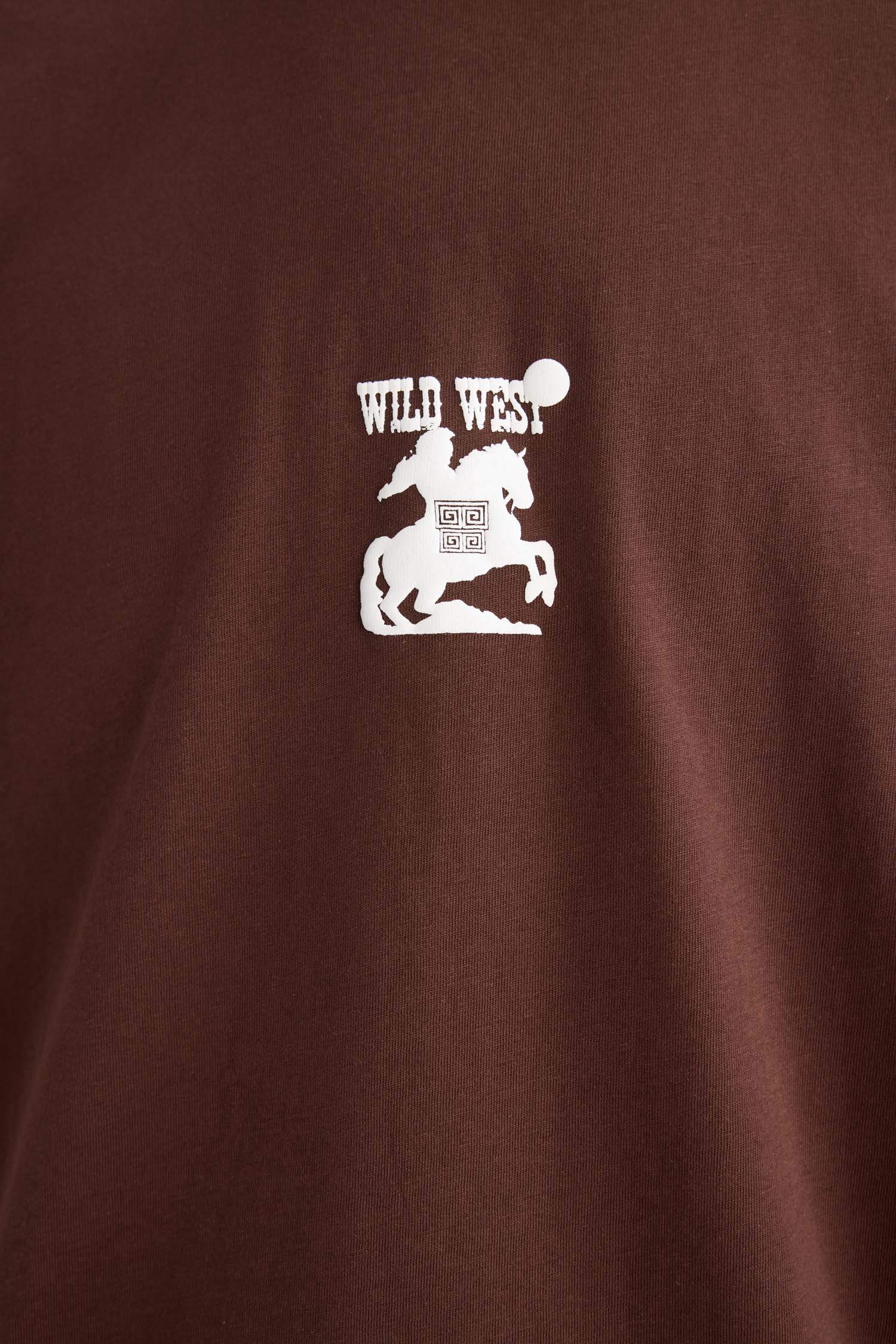 Boxy Fit Crew Neck Printed Short Sleeve T-Shirt