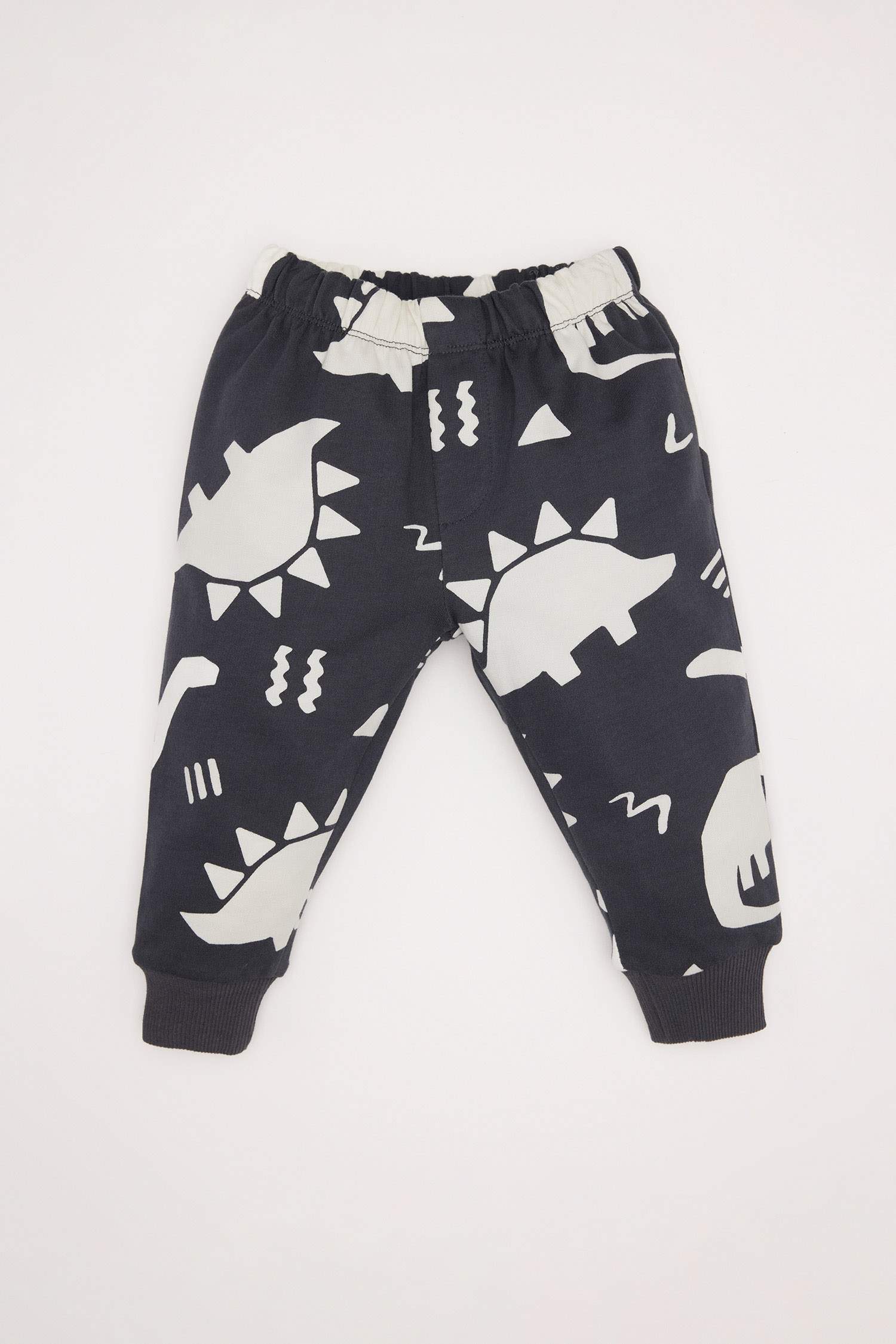 Baby Boy Dinosaur Printed Sweatshirt Sweatpants 2 Piece Set