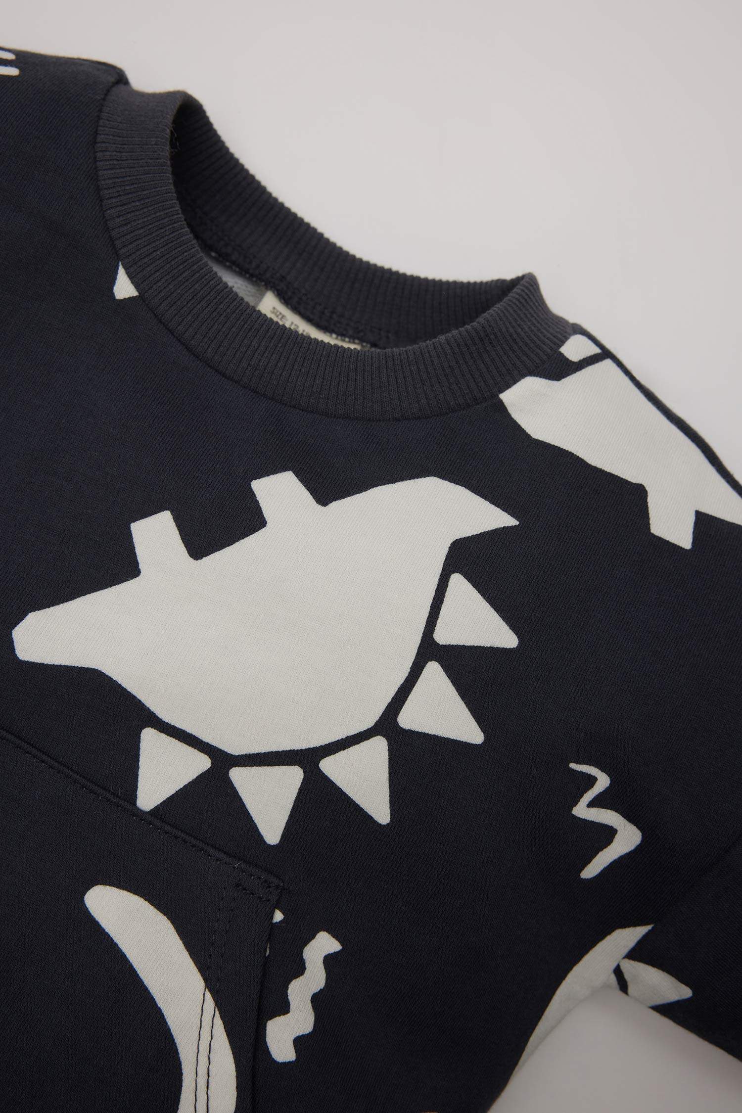 Baby Boy Dinosaur Printed Sweatshirt Sweatpants 2 Piece Set