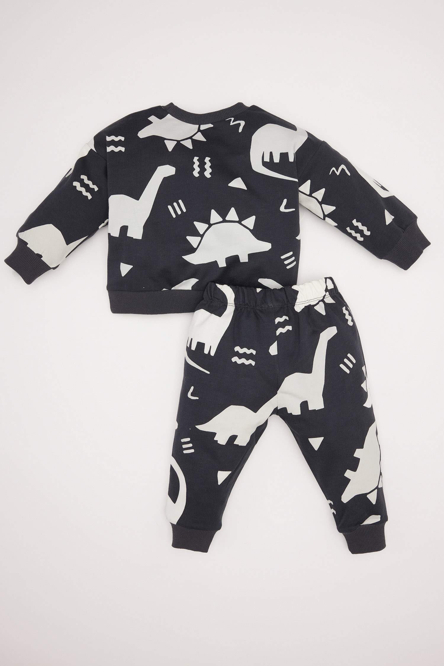 Baby Boy Dinosaur Printed Sweatshirt Sweatpants 2 Piece Set