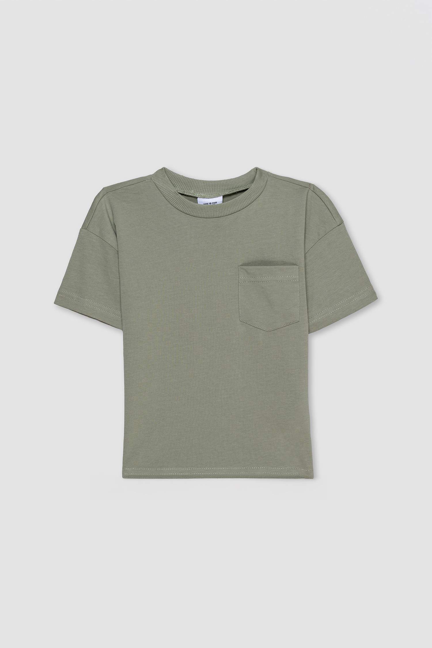 Baby Boy Regular Fit Short Sleeve T-Shirt