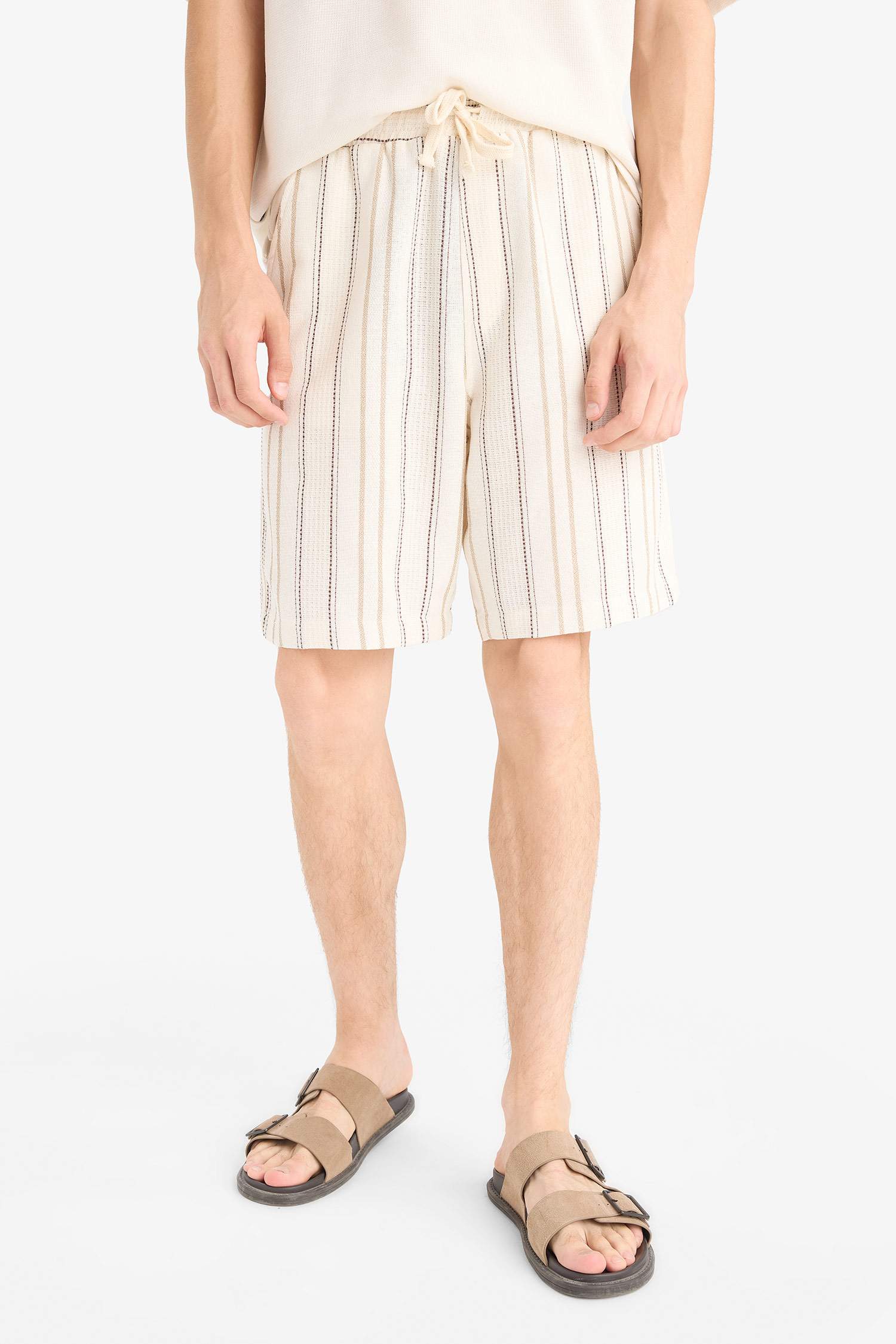 Regular Fit Jacquard Striped Bermuda Shorts