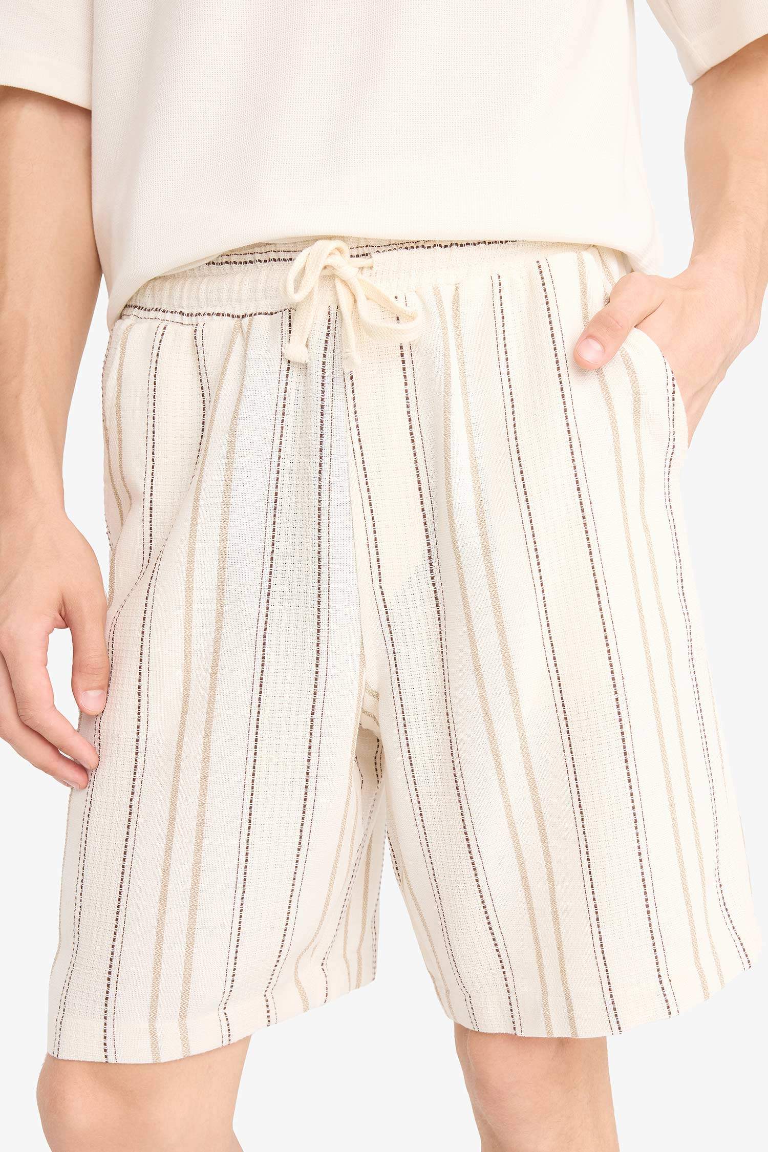Regular Fit Jacquard Striped Bermuda Shorts