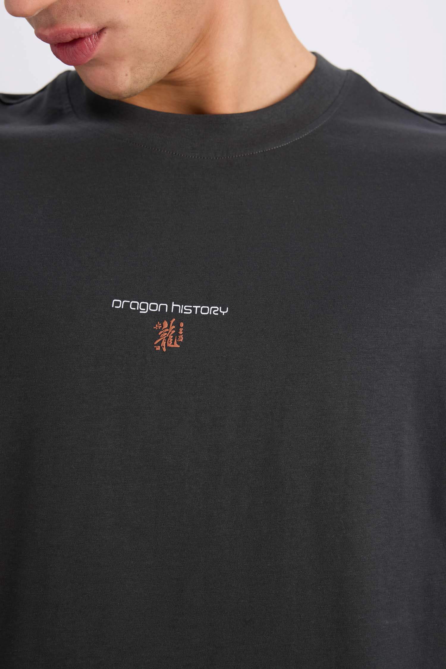 Boxy Fit Crew Neck Printed Short Sleeve T-Shirt