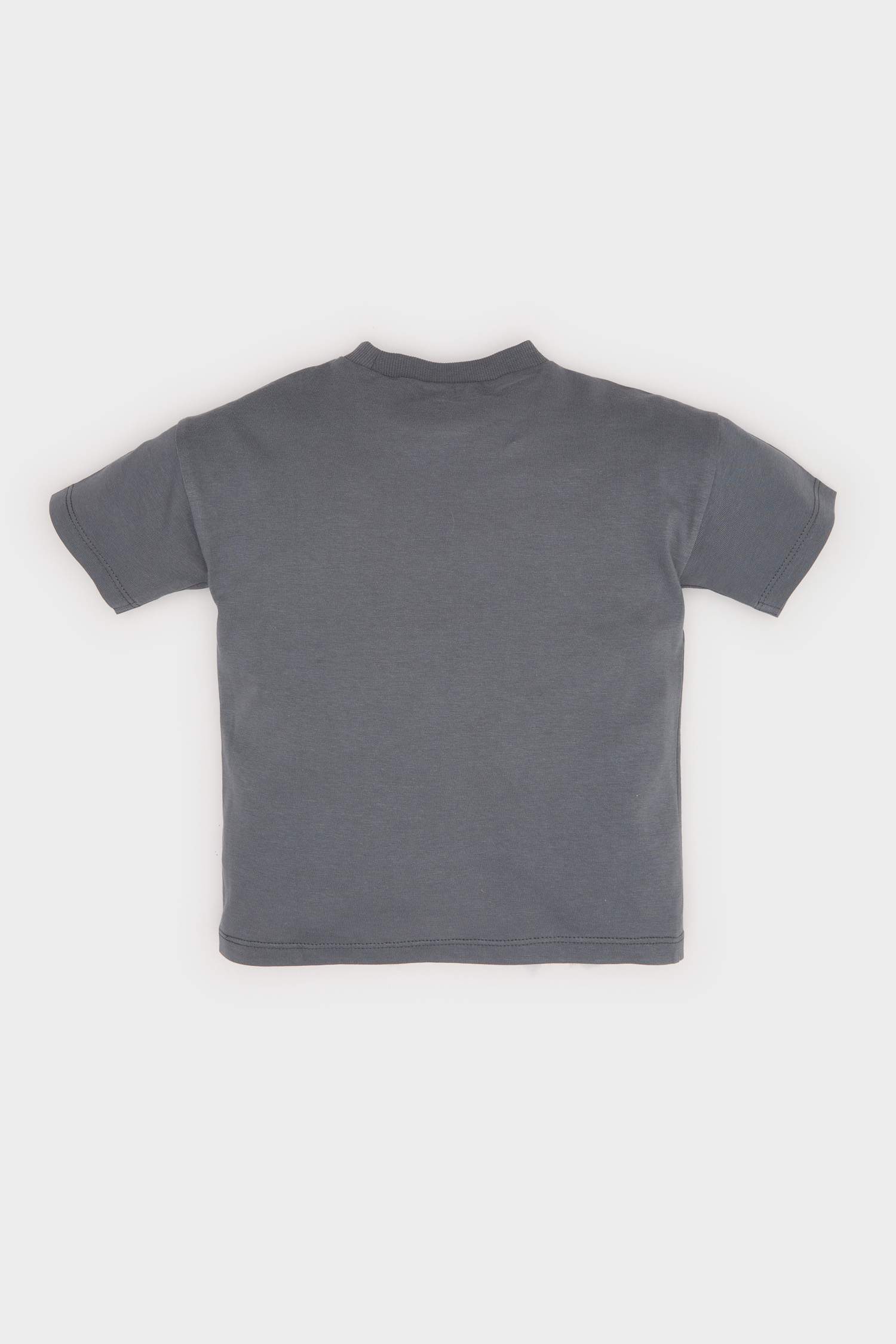 Baby Boy Regular Fit Animal Patterned T-Shirt