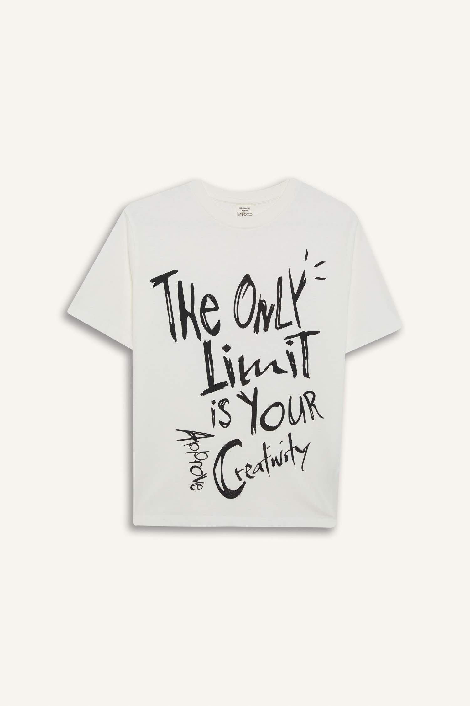 Boy Crew Neck Printed Short Sleeve T-Shirt