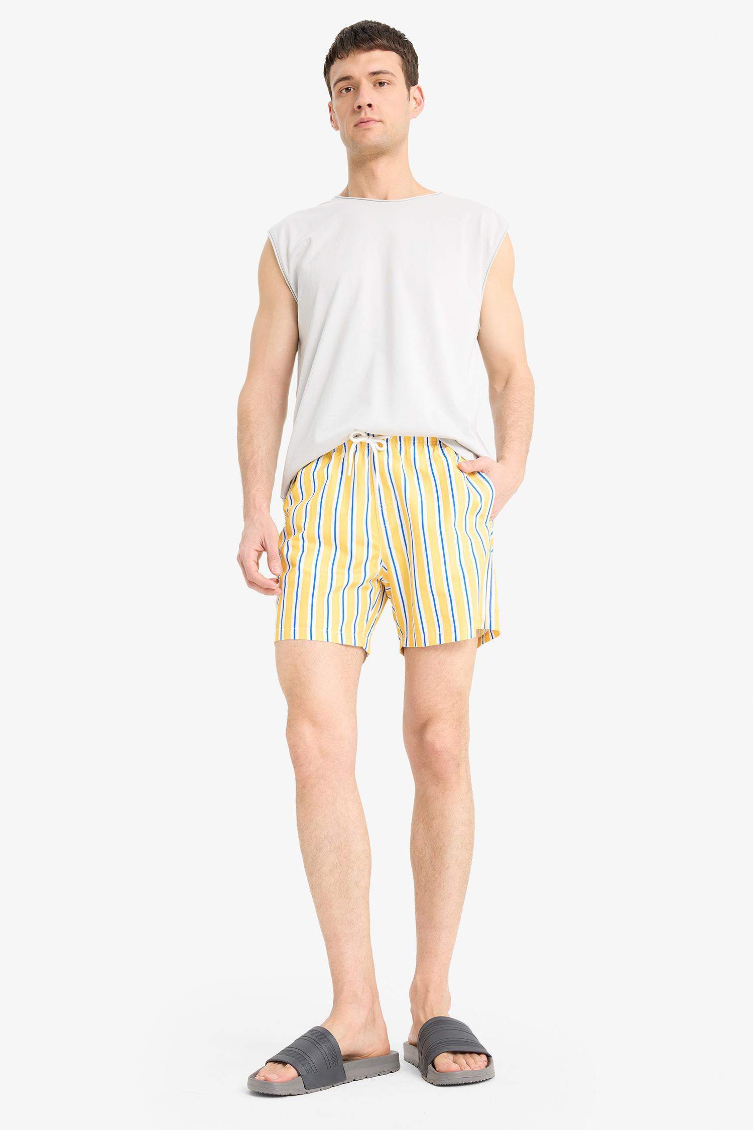 Mesh Lined Short Length Striped Swim Shorts