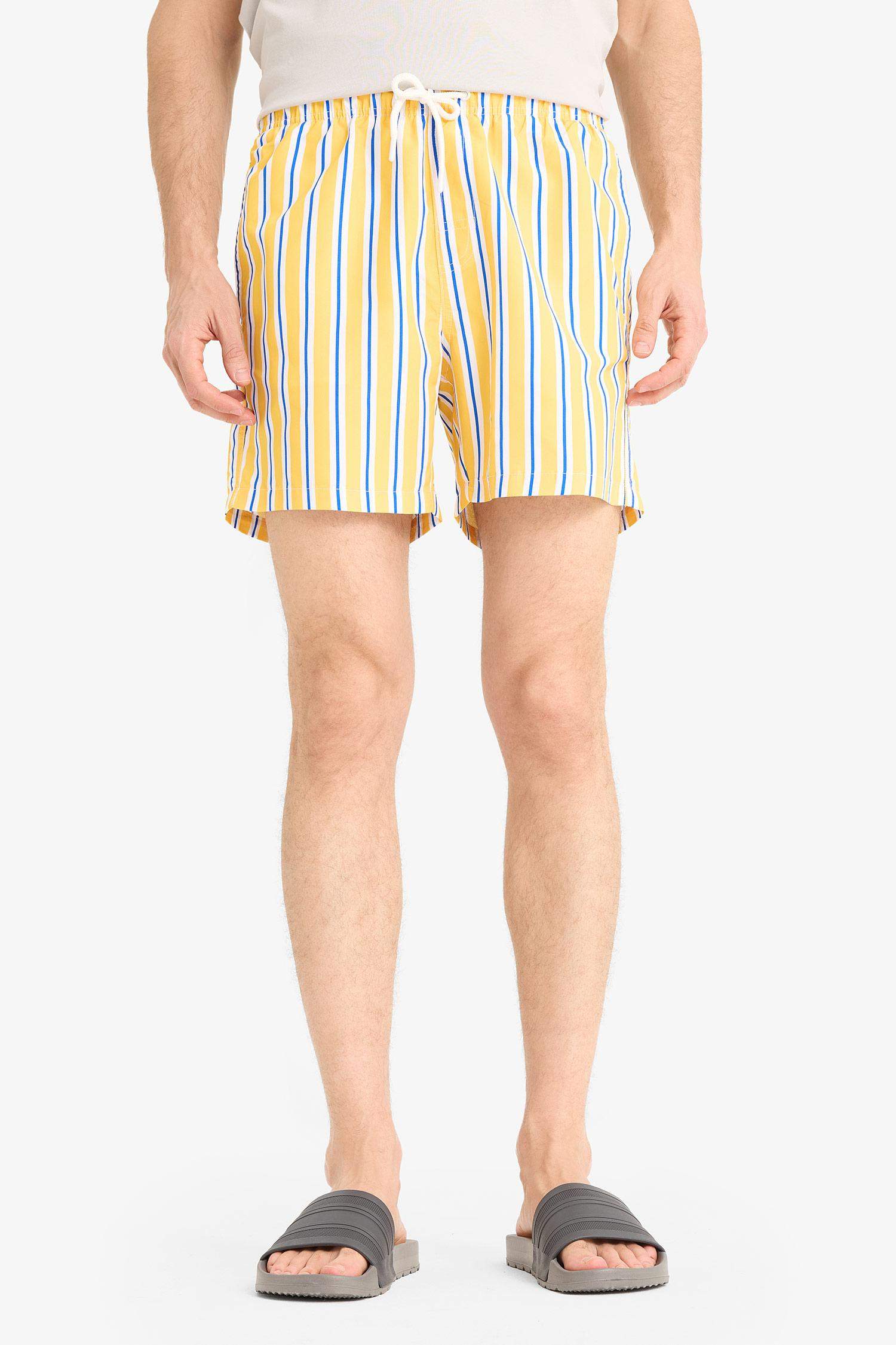 Mesh Lined Short Length Striped Swim Shorts
