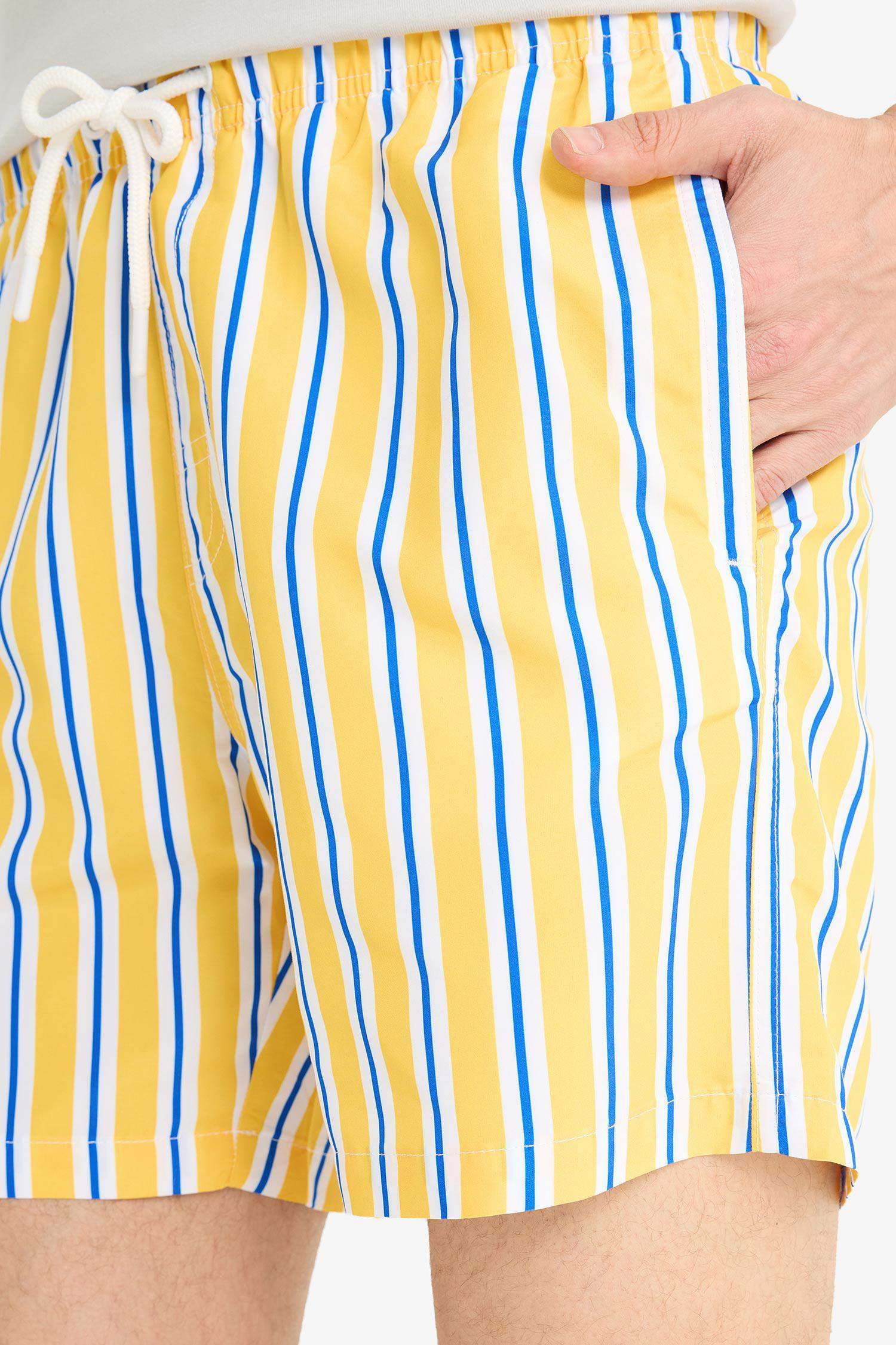 Mesh Lined Short Length Striped Swim Shorts