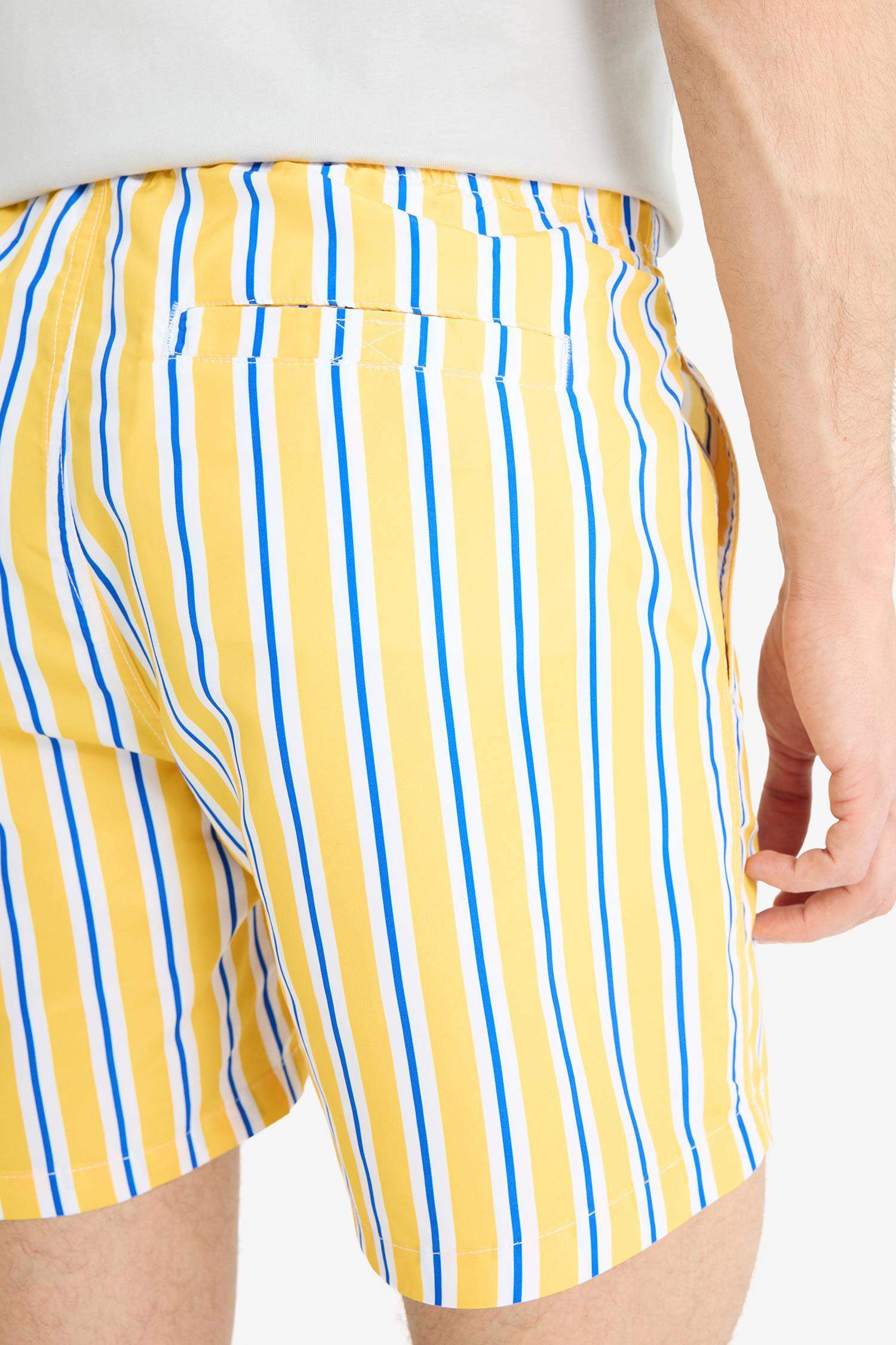 Mesh Lined Short Length Striped Swim Shorts