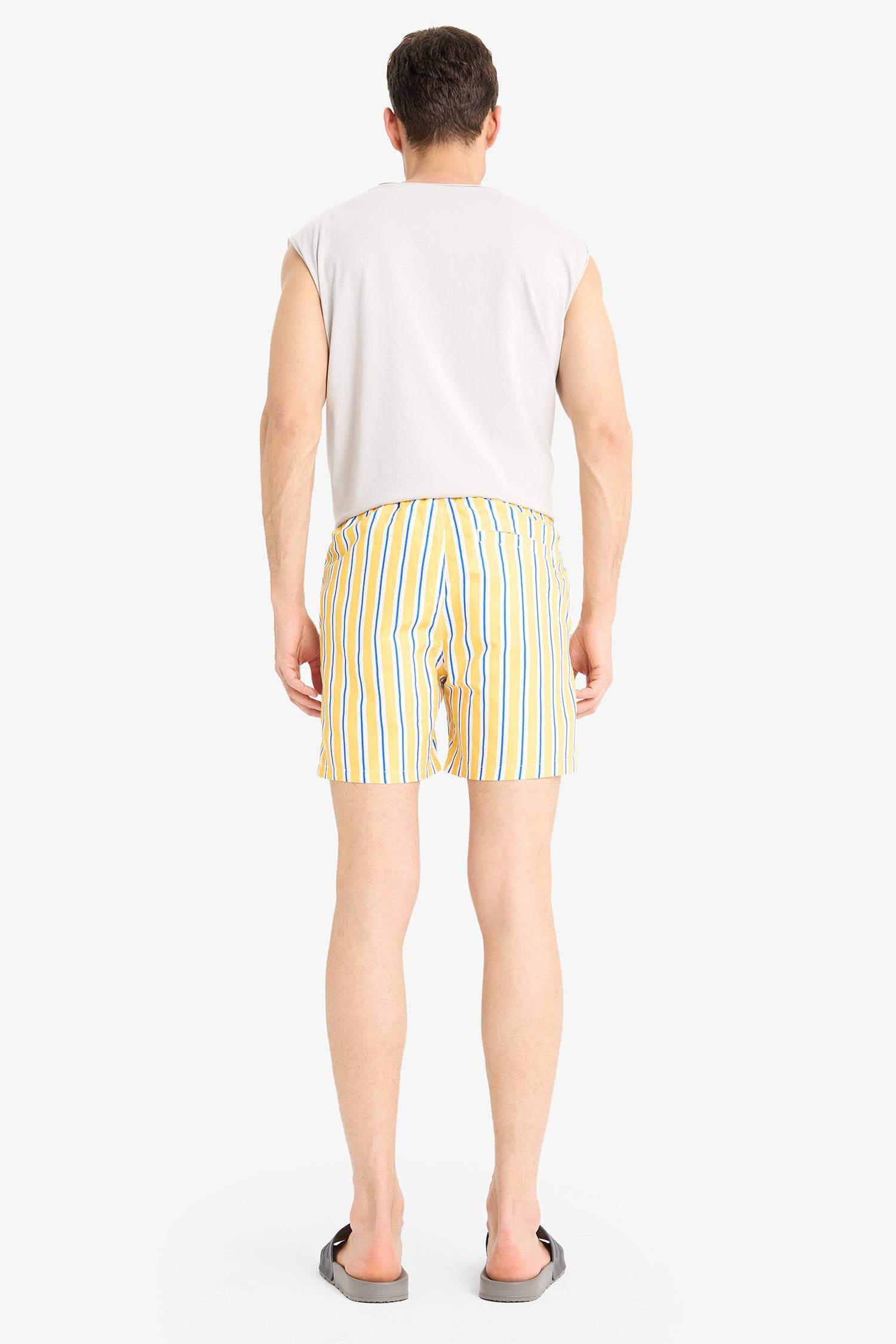 Mesh Lined Short Length Striped Swim Shorts