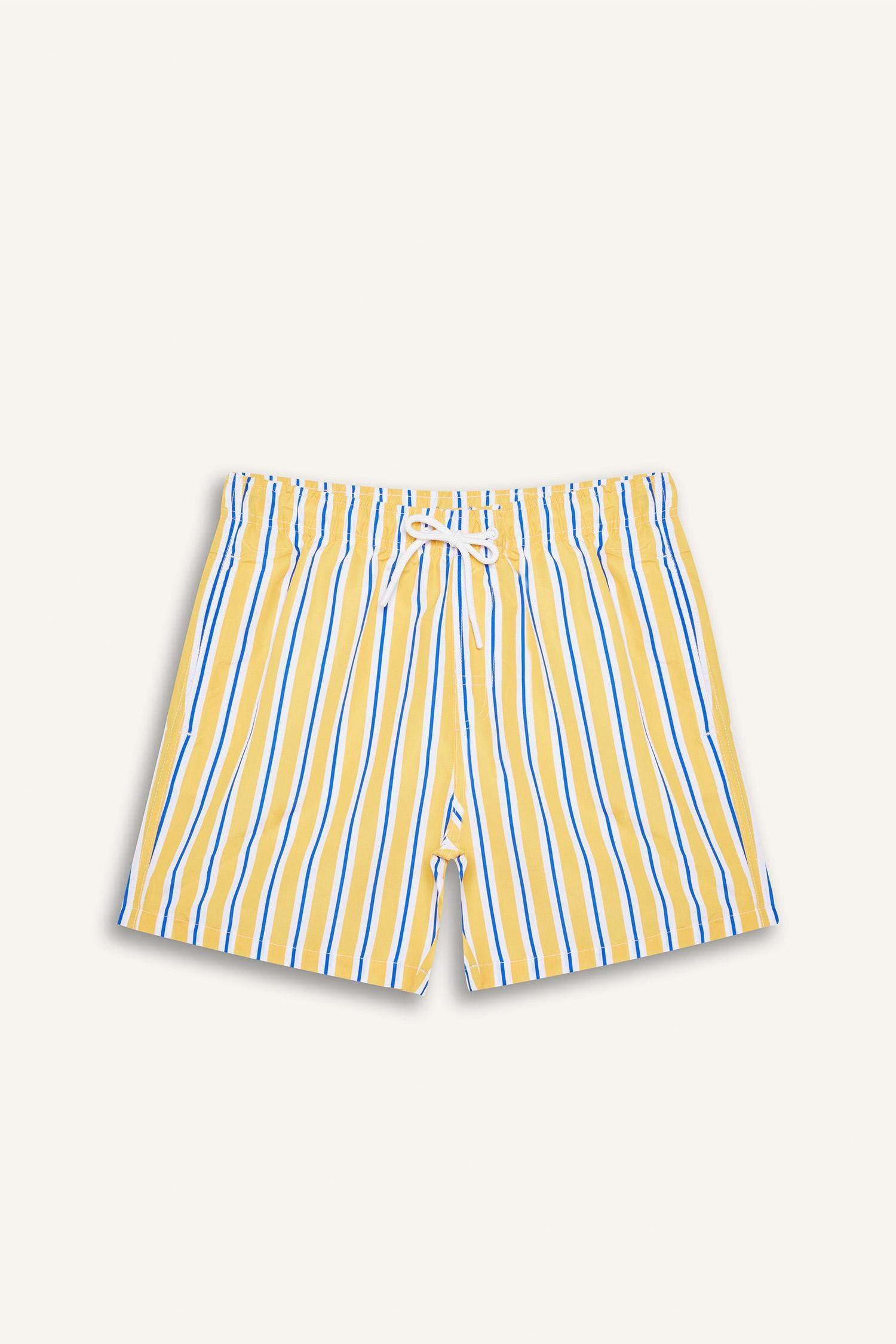 Mesh Lined Short Length Striped Swim Shorts
