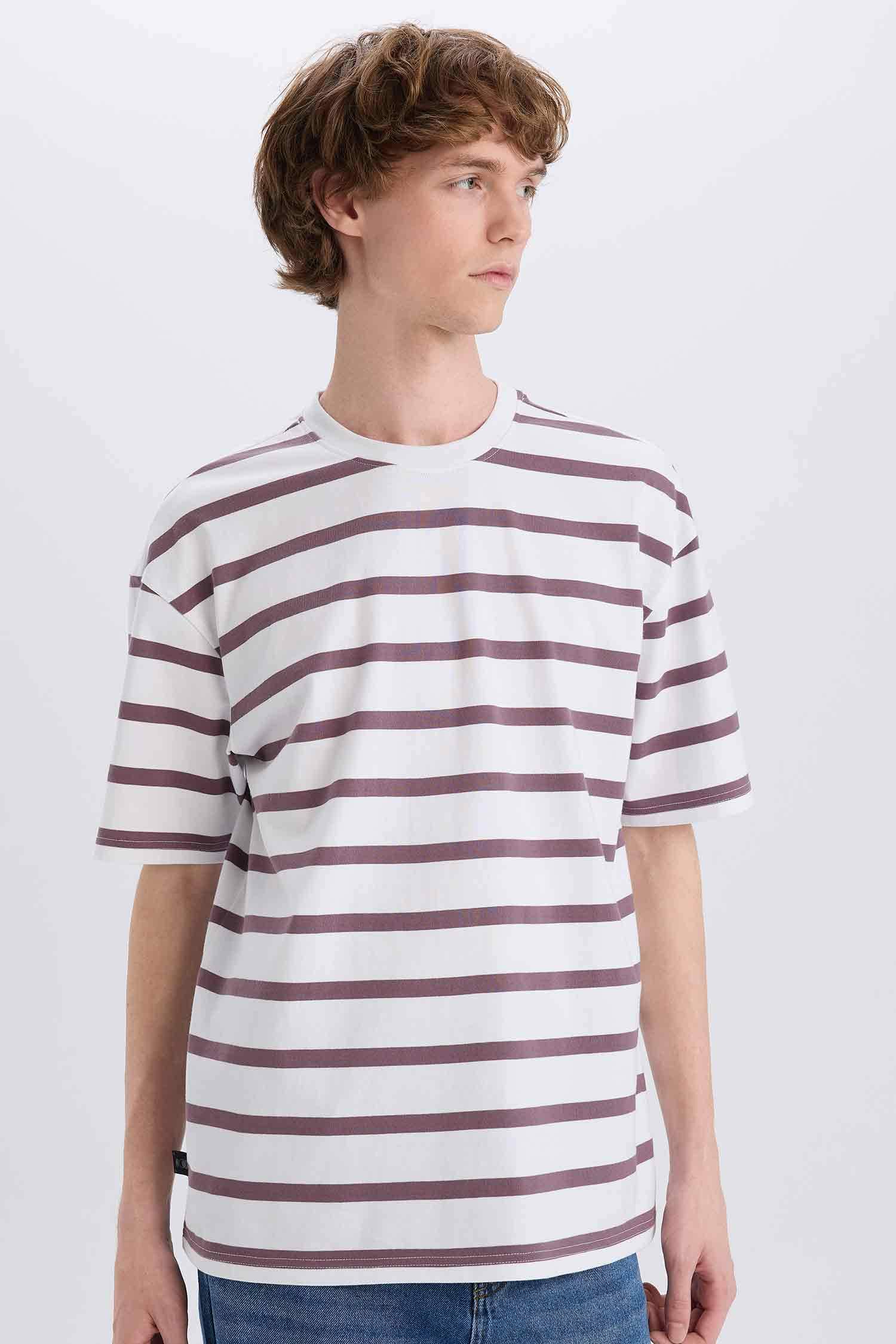 Cotton Boxy Fit Crew Neck Striped T-Shirt