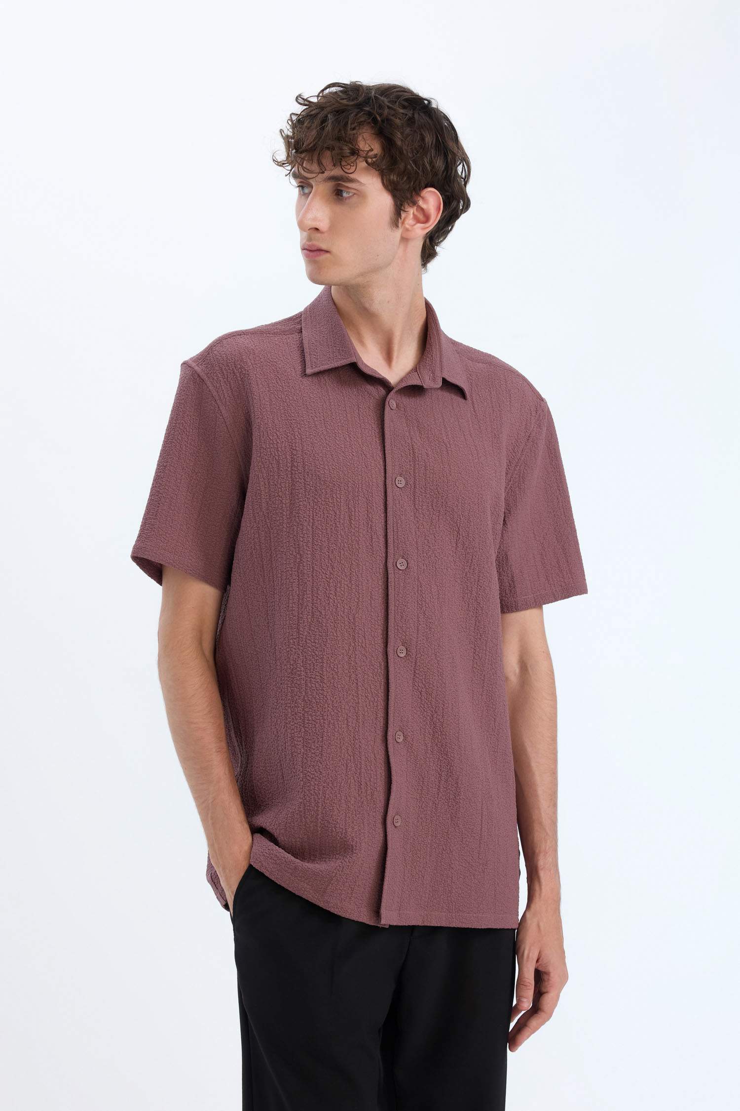 Летняя рубашка поло из кринкля, стандартная посадка, короткий рукав