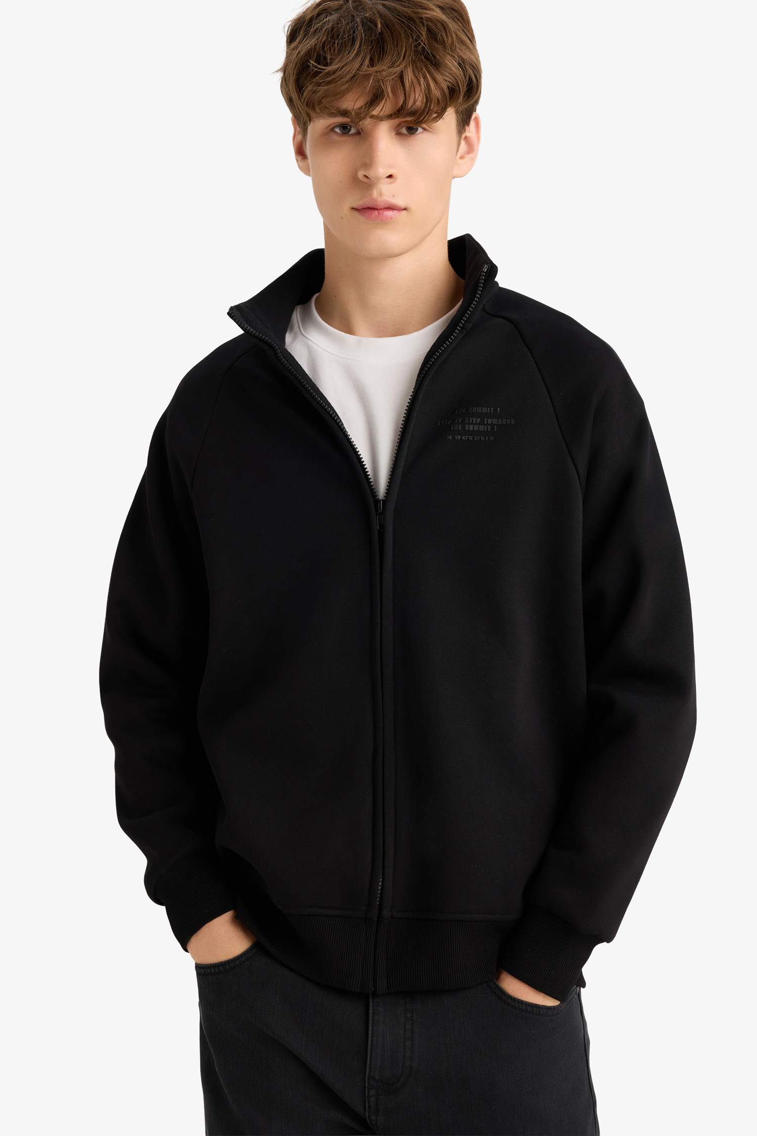 Boxy Fit Dik Yaka Baskılı İçi Yumuşak Tüylü Cepli Fermuarlı Sweatshirt