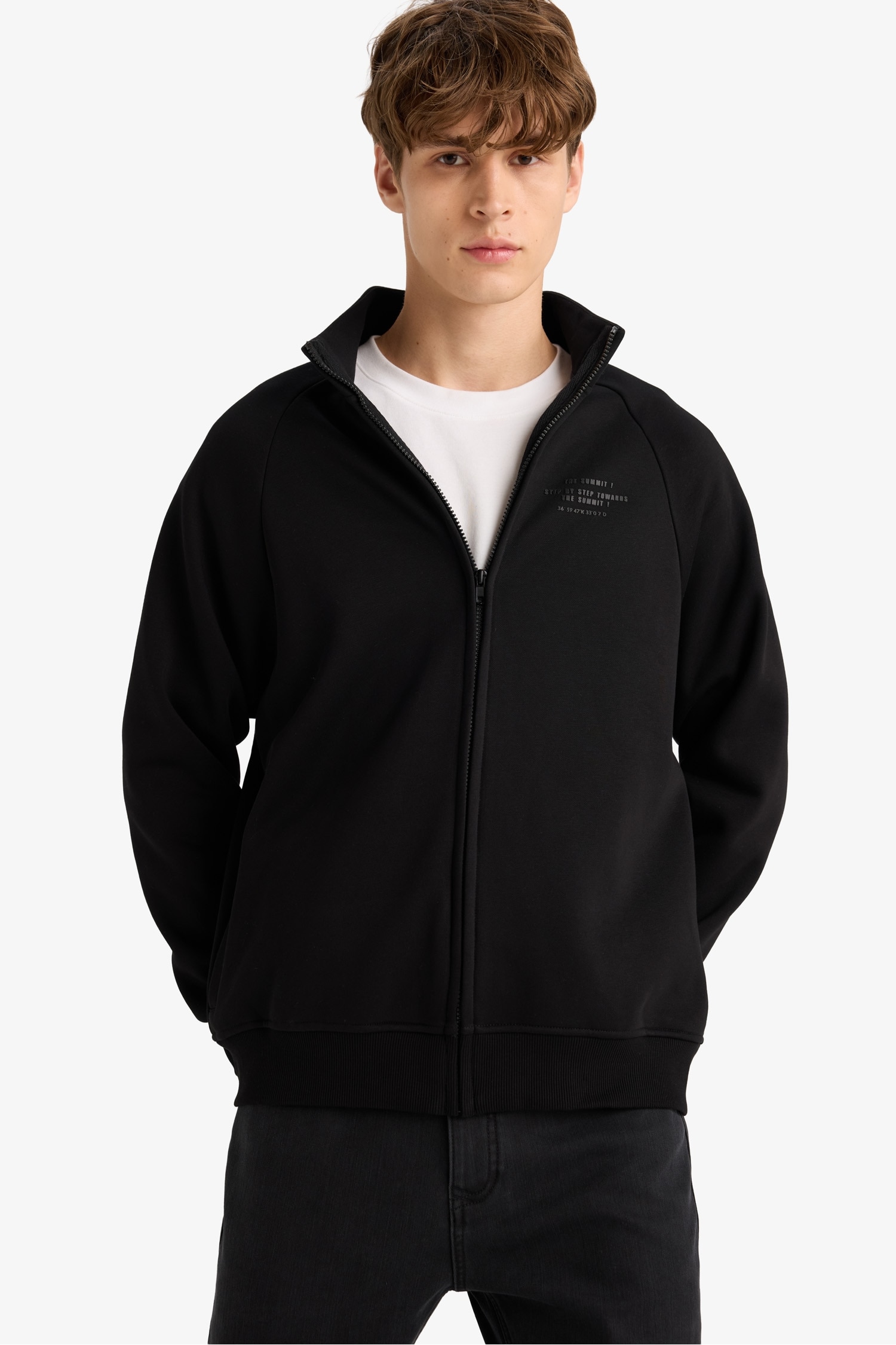 Boxy Fit Dik Yaka Baskılı İçi Yumuşak Tüylü Cepli Fermuarlı Sweatshirt