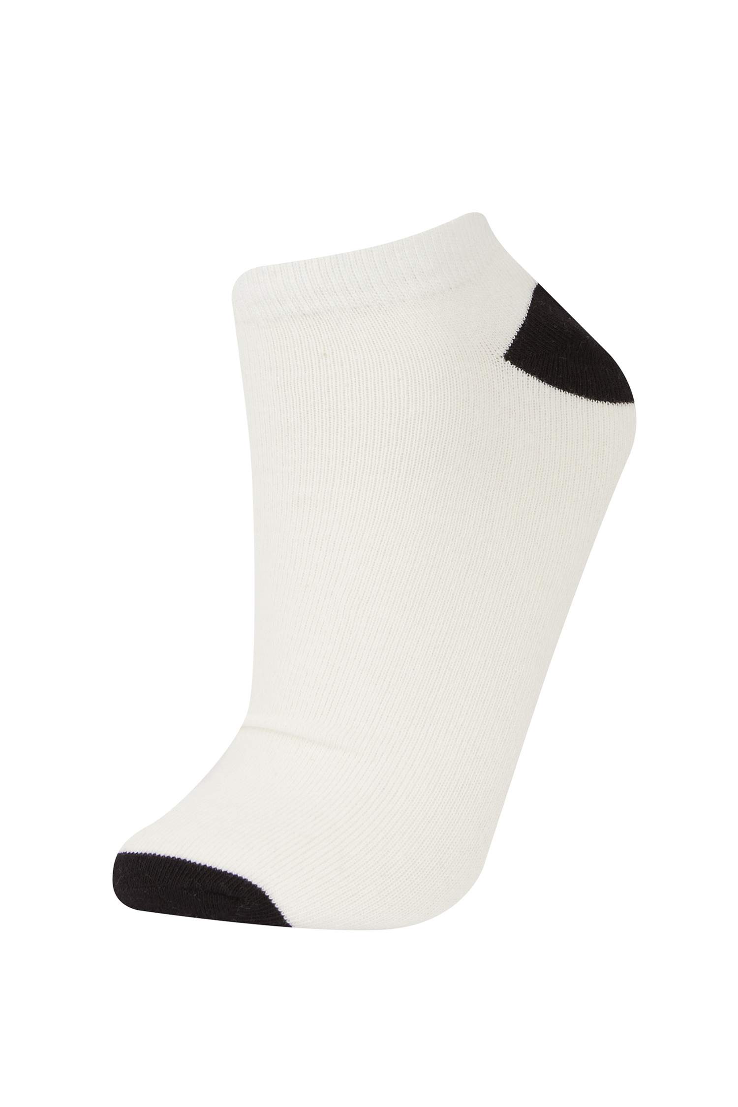 Kadın 5'li Pamuklu Patik Çorap