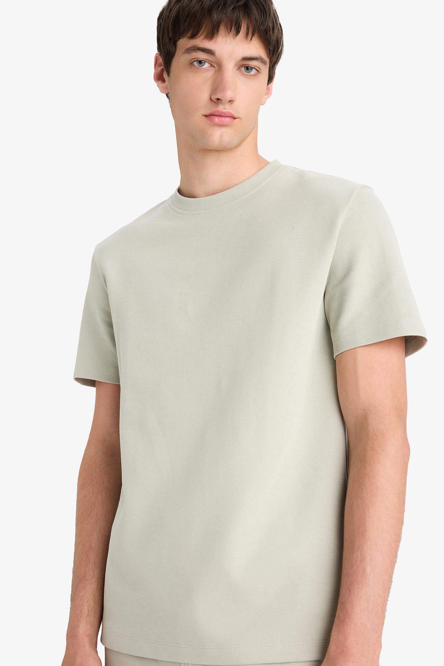 Regular Fit Crew Neck Basic Heavy Fabric T-Shirt